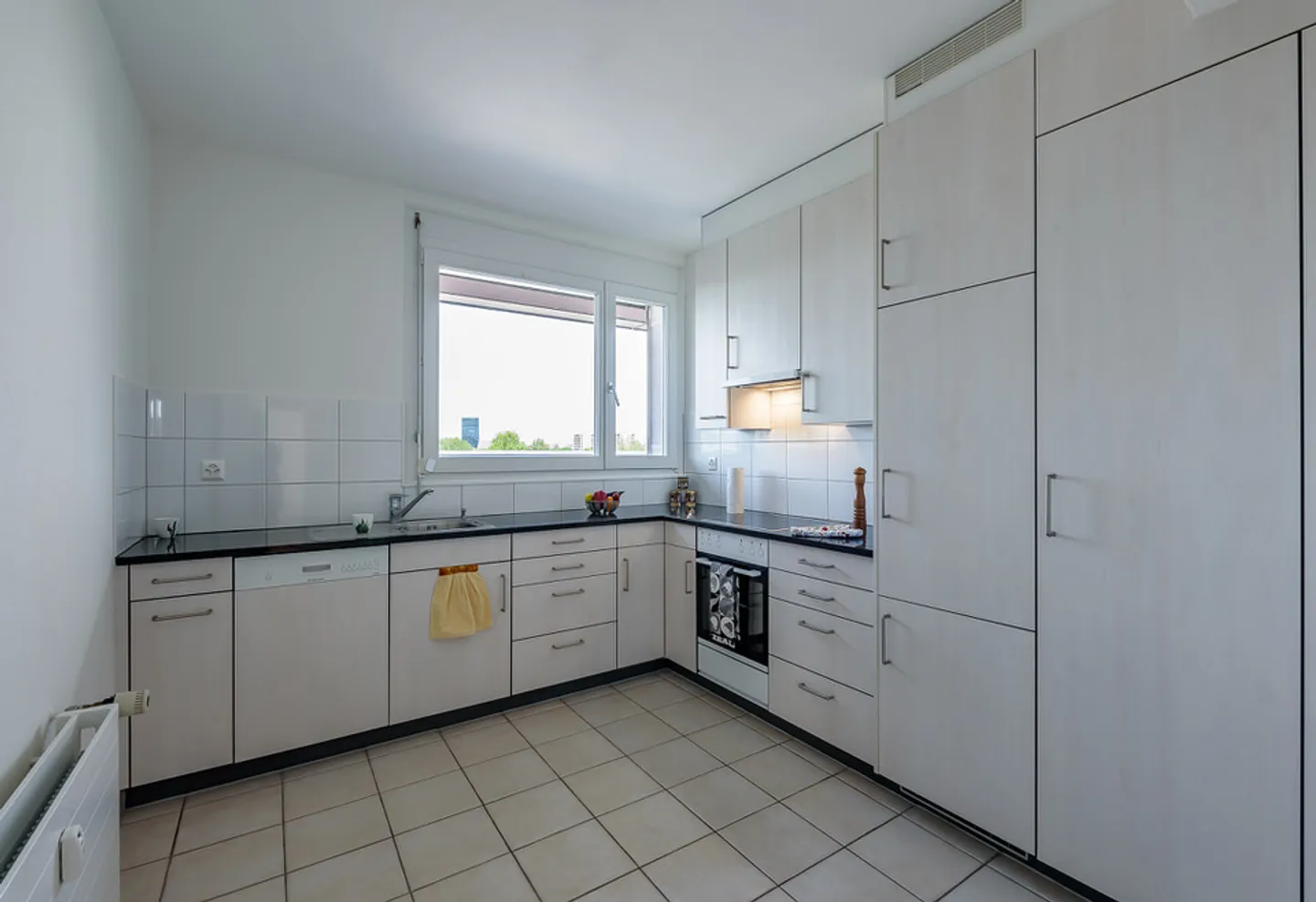 Vivere Rappresentativo Sopra i Tetti di Birsfelden - Foto 6 di 12