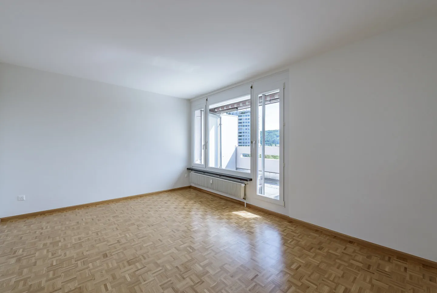 Vivere Rappresentativo Sopra i Tetti di Birsfelden - Foto 9 di 12