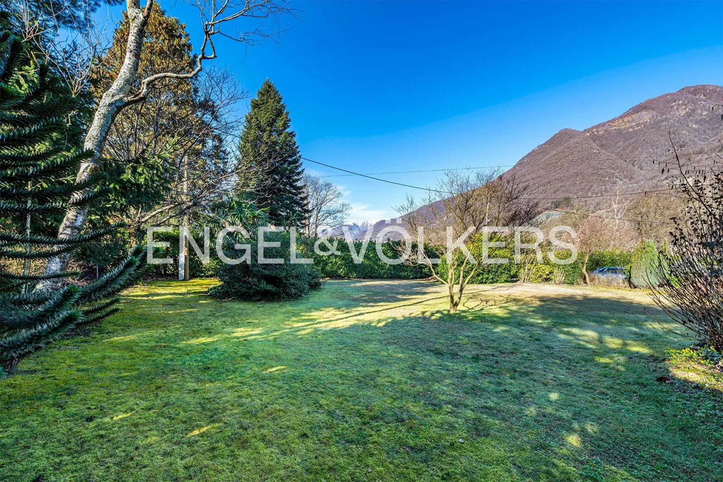 Maison individuelle avec grand terrain - Photo 2 sur 18