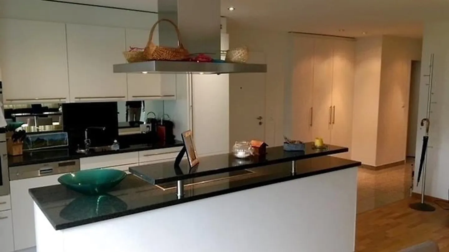APPARTAMENTO 4½ LOCALI A SCHINDELLEGI (SZ), ARREDATO - Foto 3 di 7