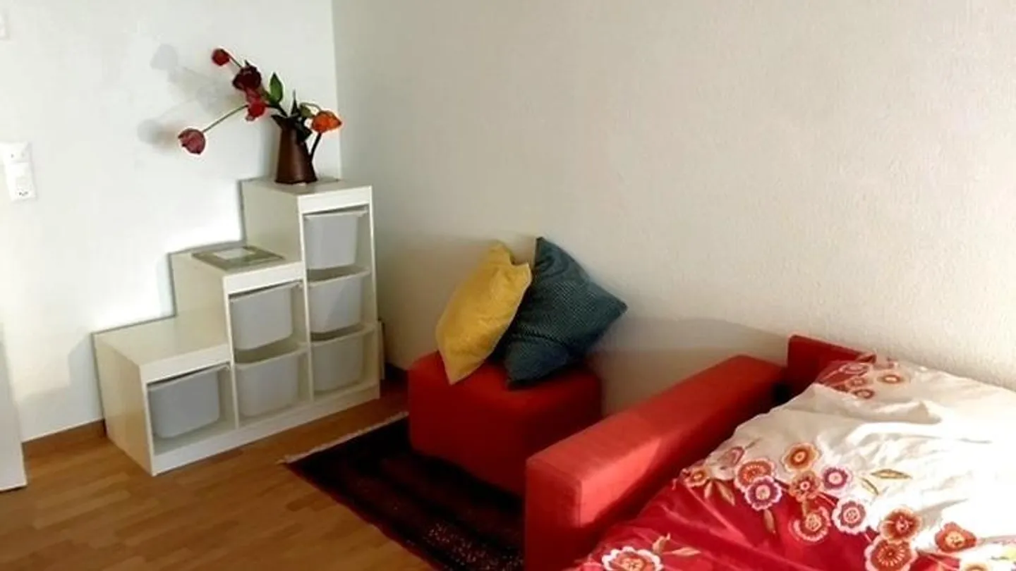 APPARTAMENTO 4½ LOCALI A SCHINDELLEGI (SZ), ARREDATO - Foto 5 di 7
