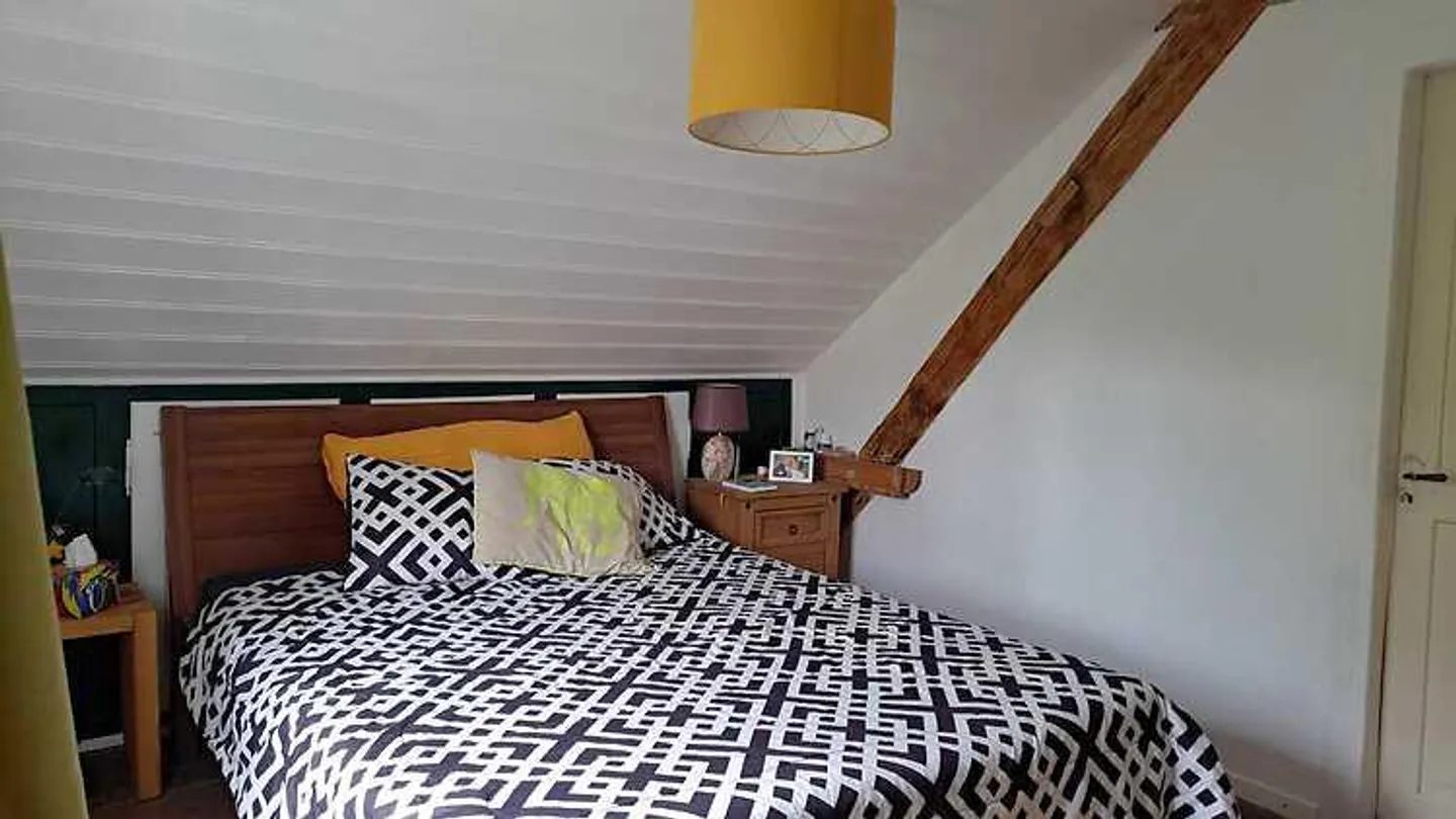 MAISON DE 4 CHAMBRES À WINTERTHUR - TÖSS, MEUBLÉE, TEMPORAIRE - Photo 5 sur 10