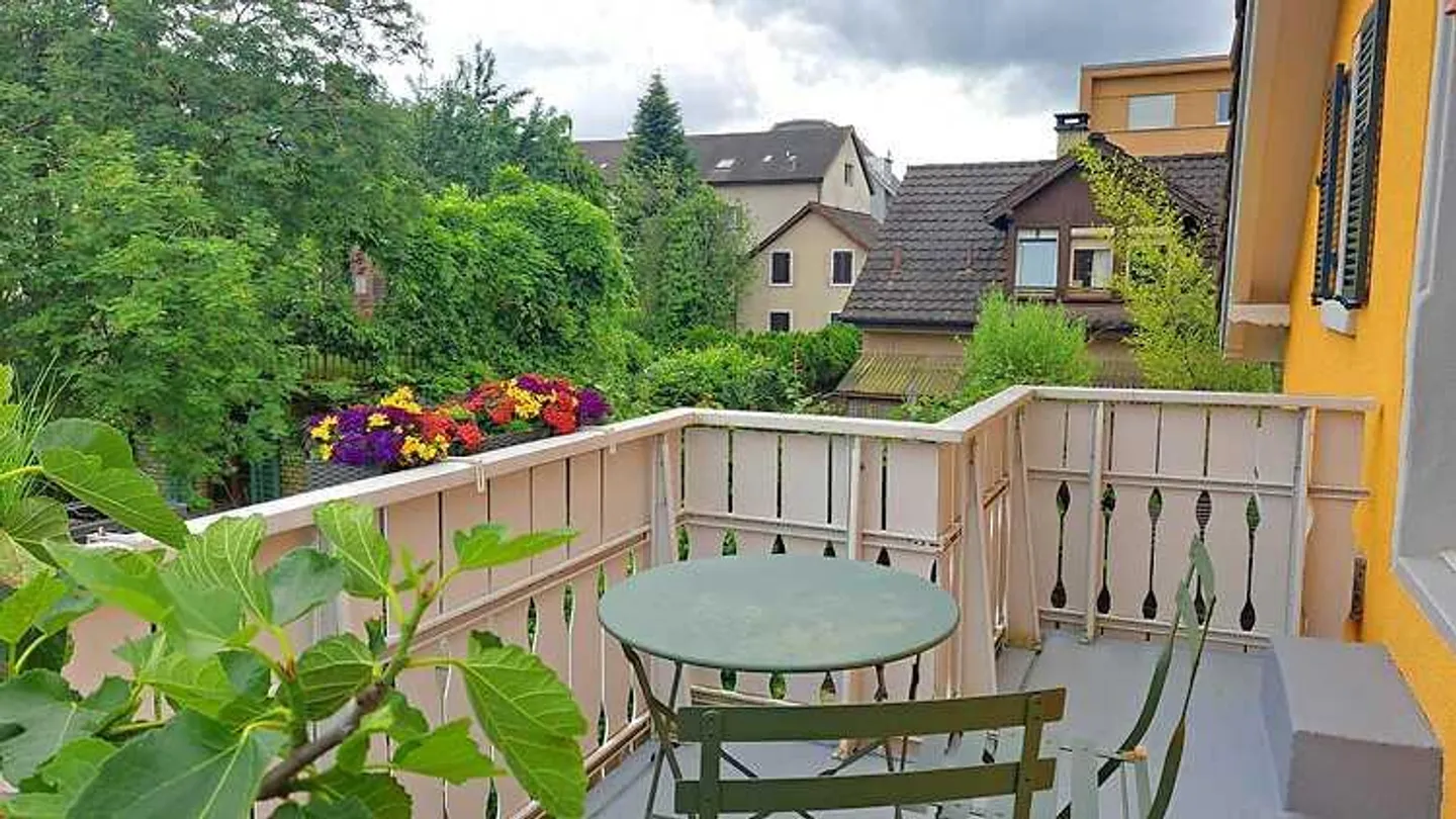 MAISON DE 4 CHAMBRES À WINTERTHUR - TÖSS, MEUBLÉE, TEMPORAIRE - Photo 10 sur 10