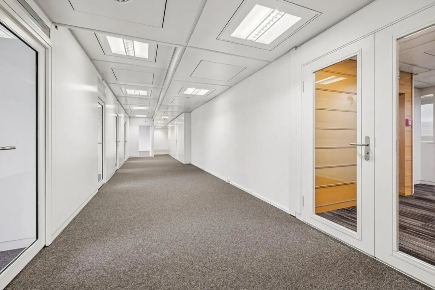 Bright surface of 264 m2 just steps from the airport - Photo 5 of 9
