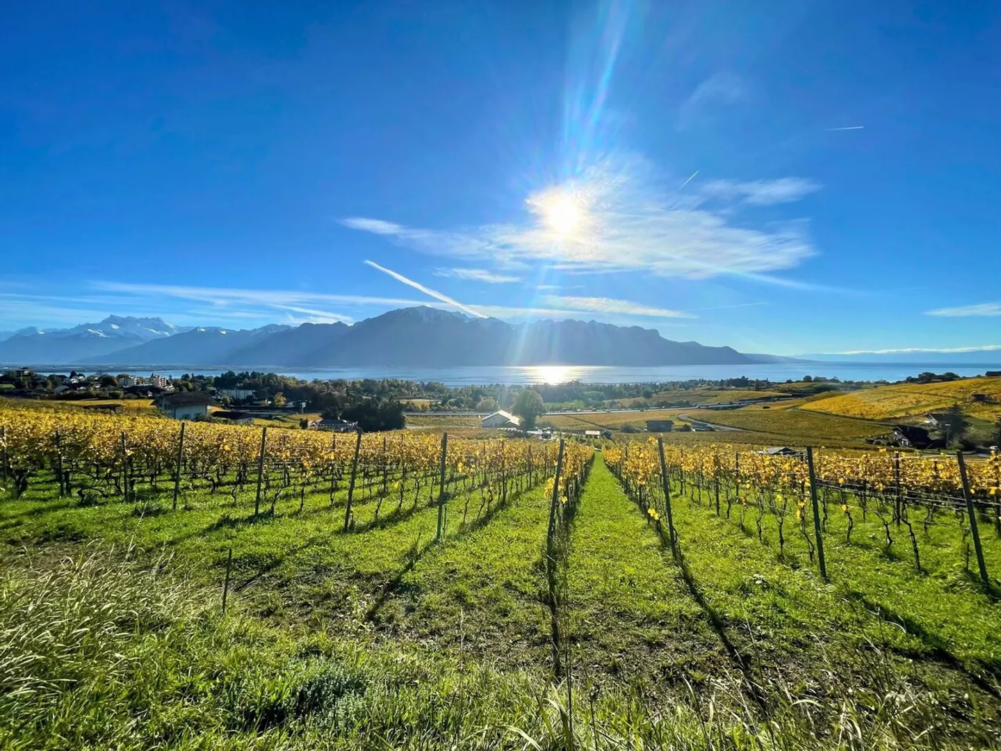 Magnifique villa individuelle de 7 pièces sur 3 niveaux - Magnificent villa of 7 - Foto 6 von 13