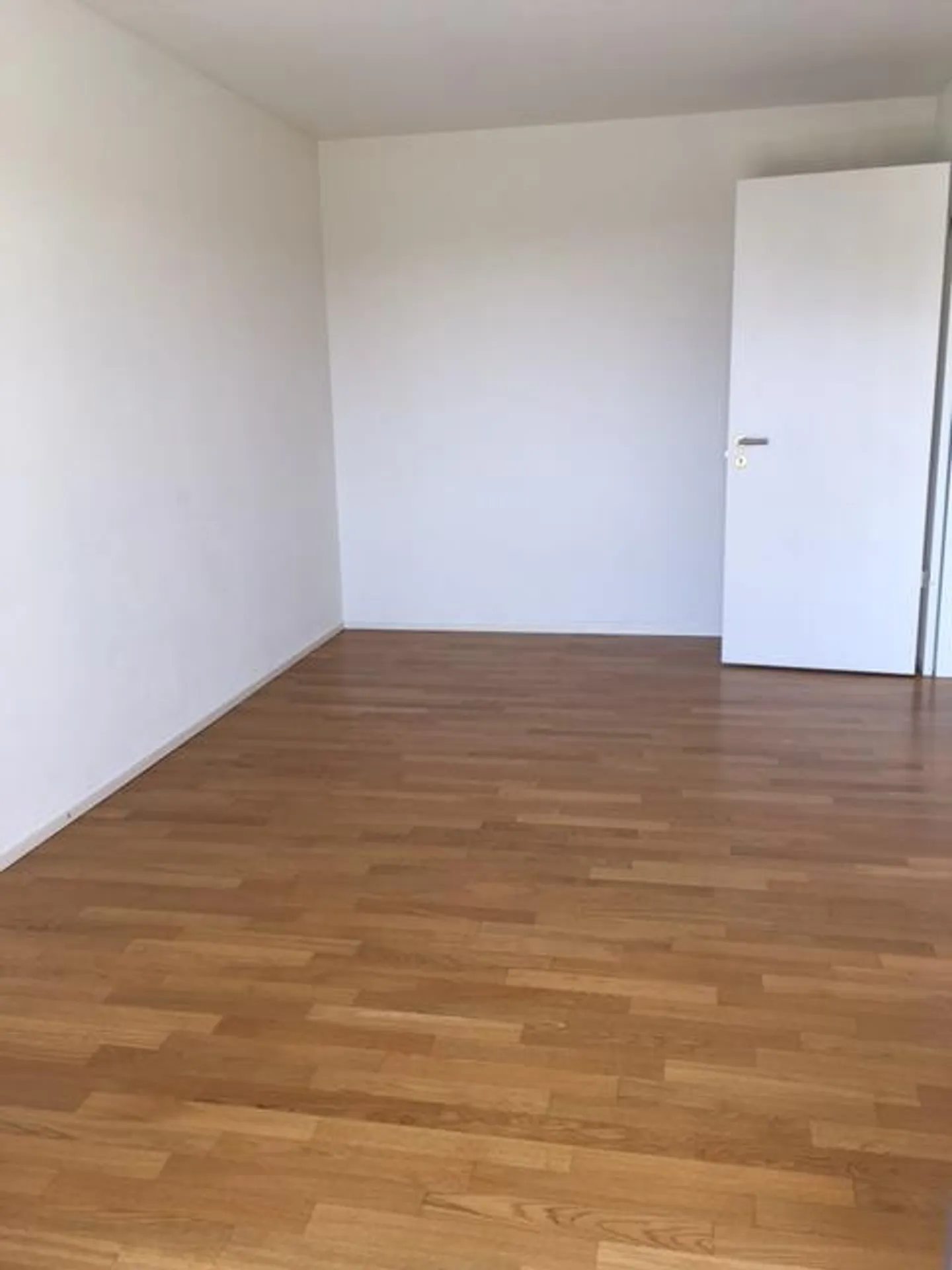 Modern Apartment in Dübendorf - Photo 4 of 6