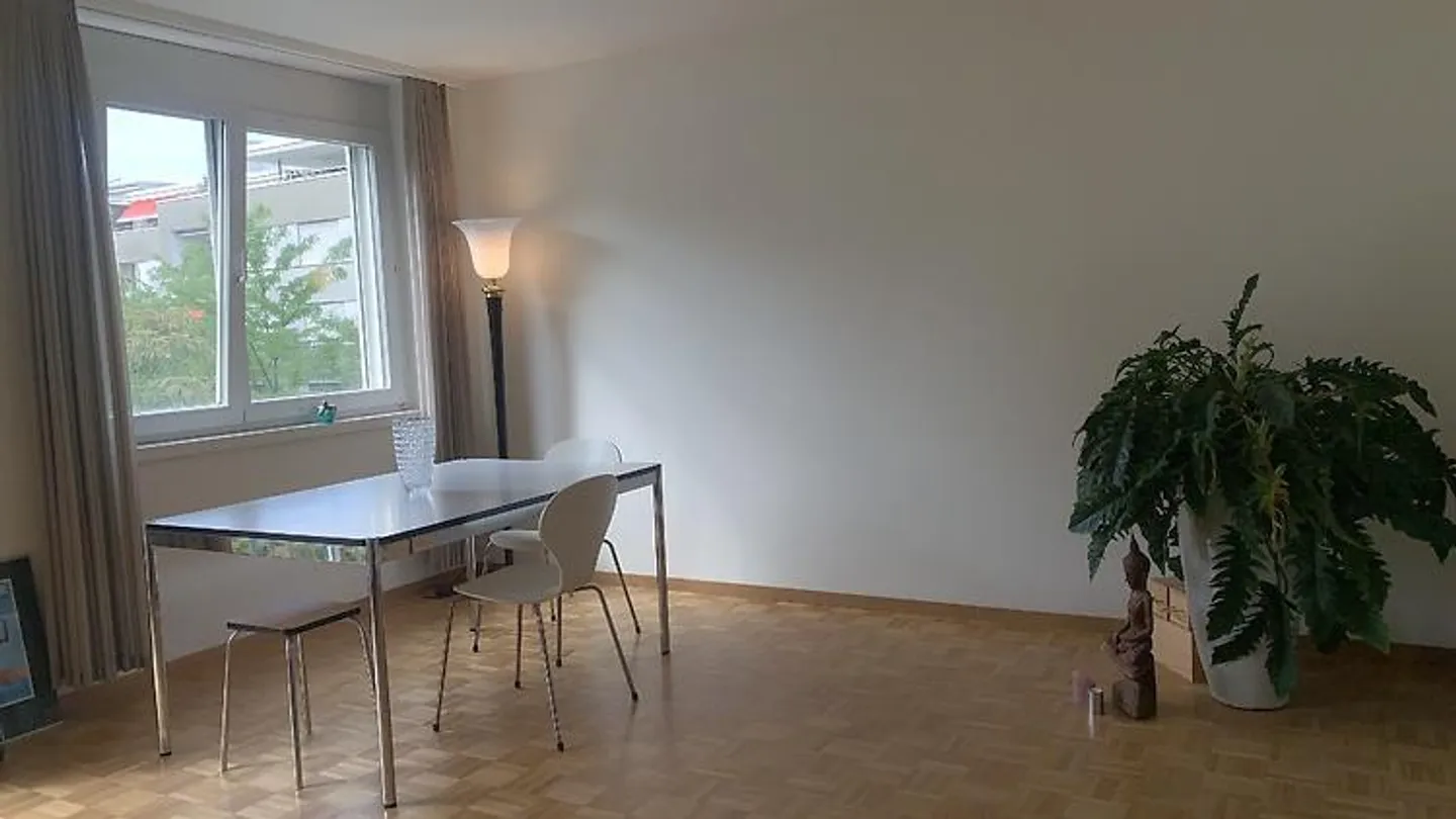 Möblierte Wohnung in Basel - Foto 3 von 10