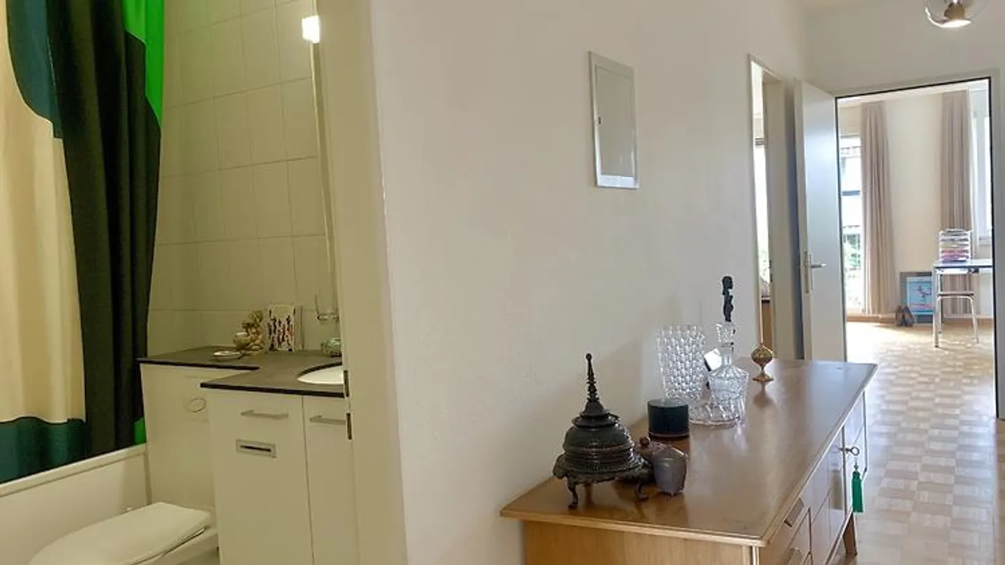 Möblierte Wohnung in Basel - Foto 9 von 10