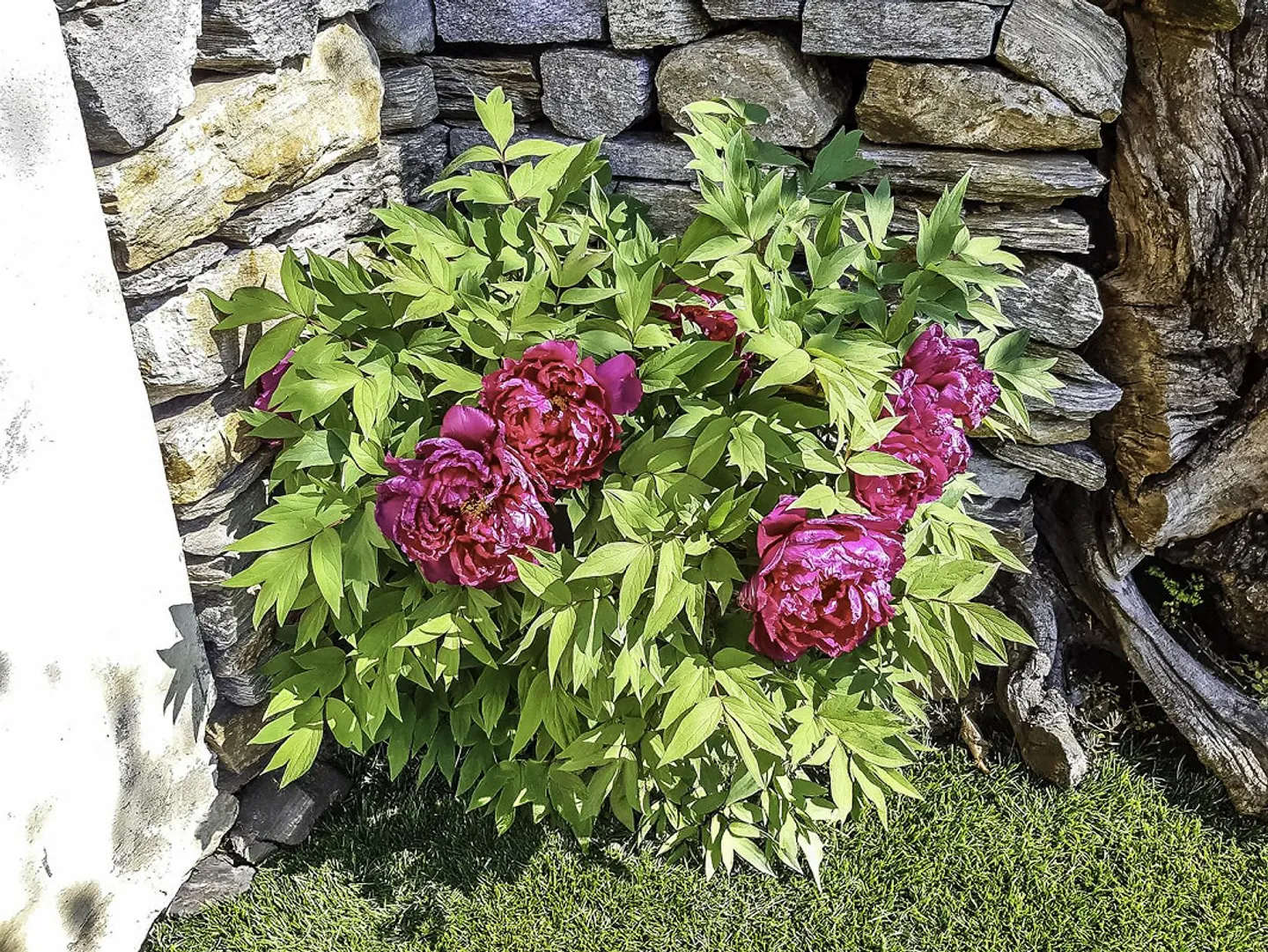 Typical Ticino House in the Blenio Valley - Photo 25 of 28