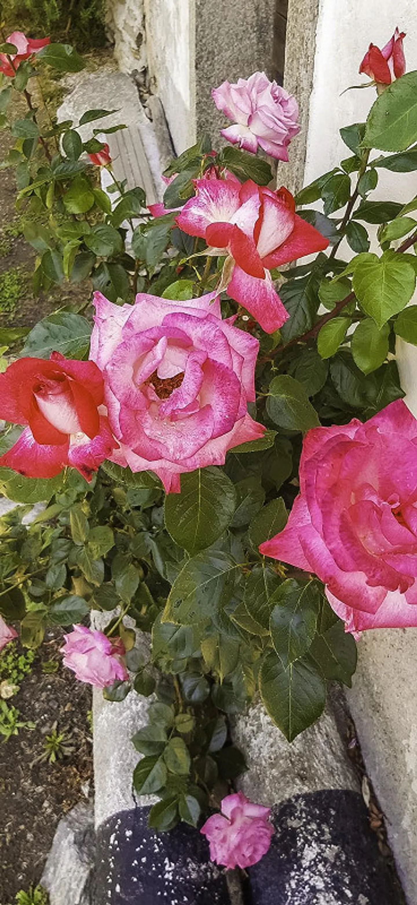 Typical Ticino House in the Blenio Valley - Photo 26 of 28