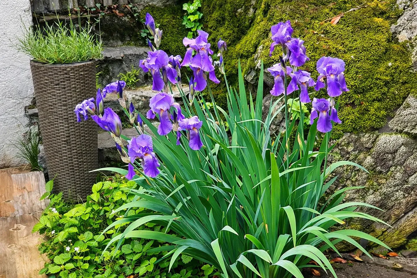 Typical Ticino House in the Blenio Valley - Photo 27 of 28
