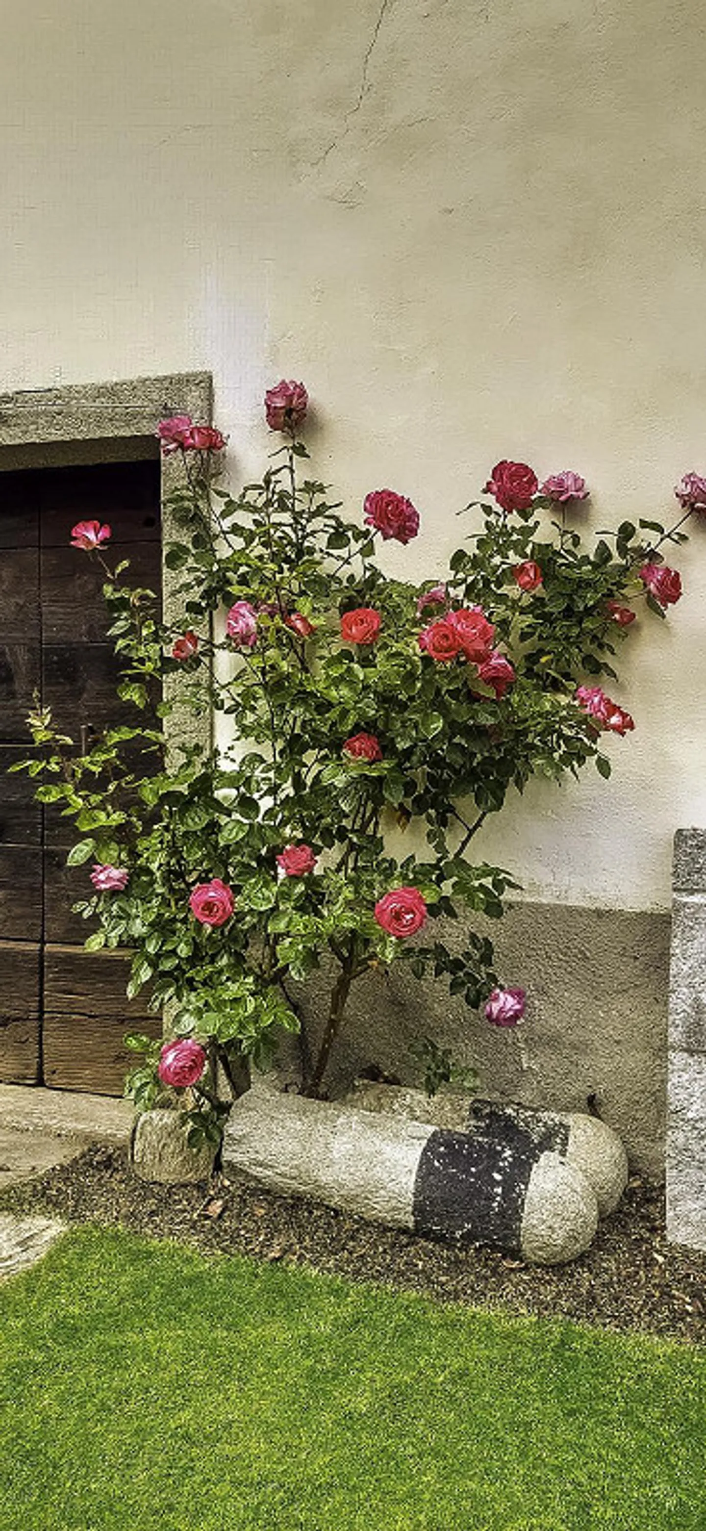 Typical Ticino House in the Blenio Valley - Photo 28 of 28