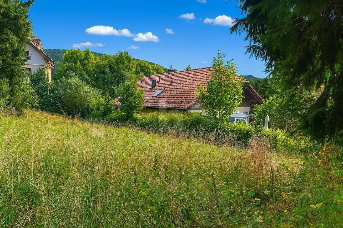 VIABILSIERUNG UND IDEALE AUSRICHTUNG - Foto 2 von 6