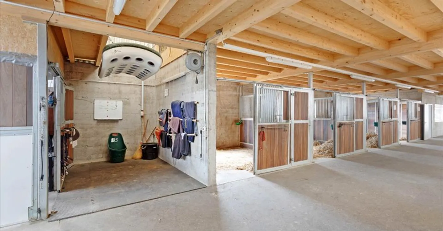 Centro Equestre a Yverdon - Foto 3 di 8