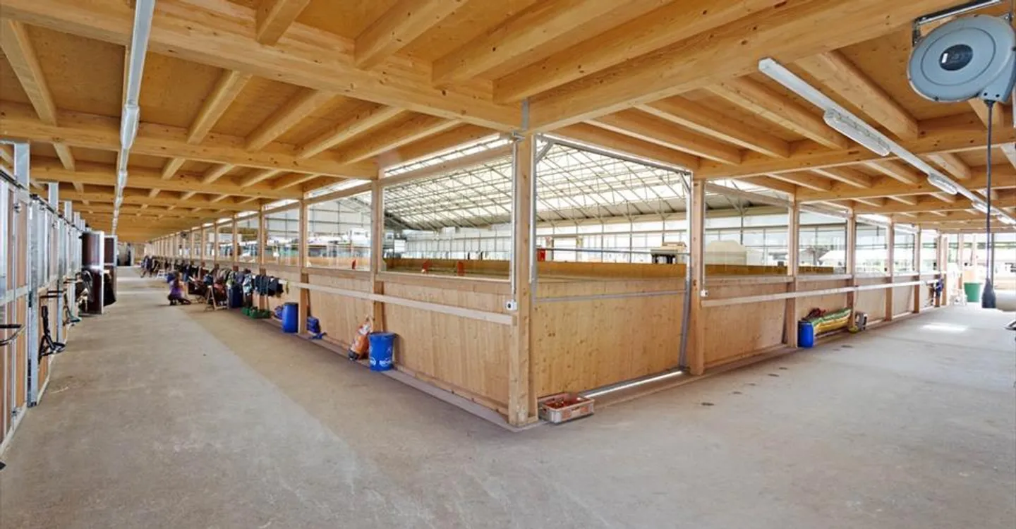 Centro Equestre a Yverdon - Foto 4 di 8