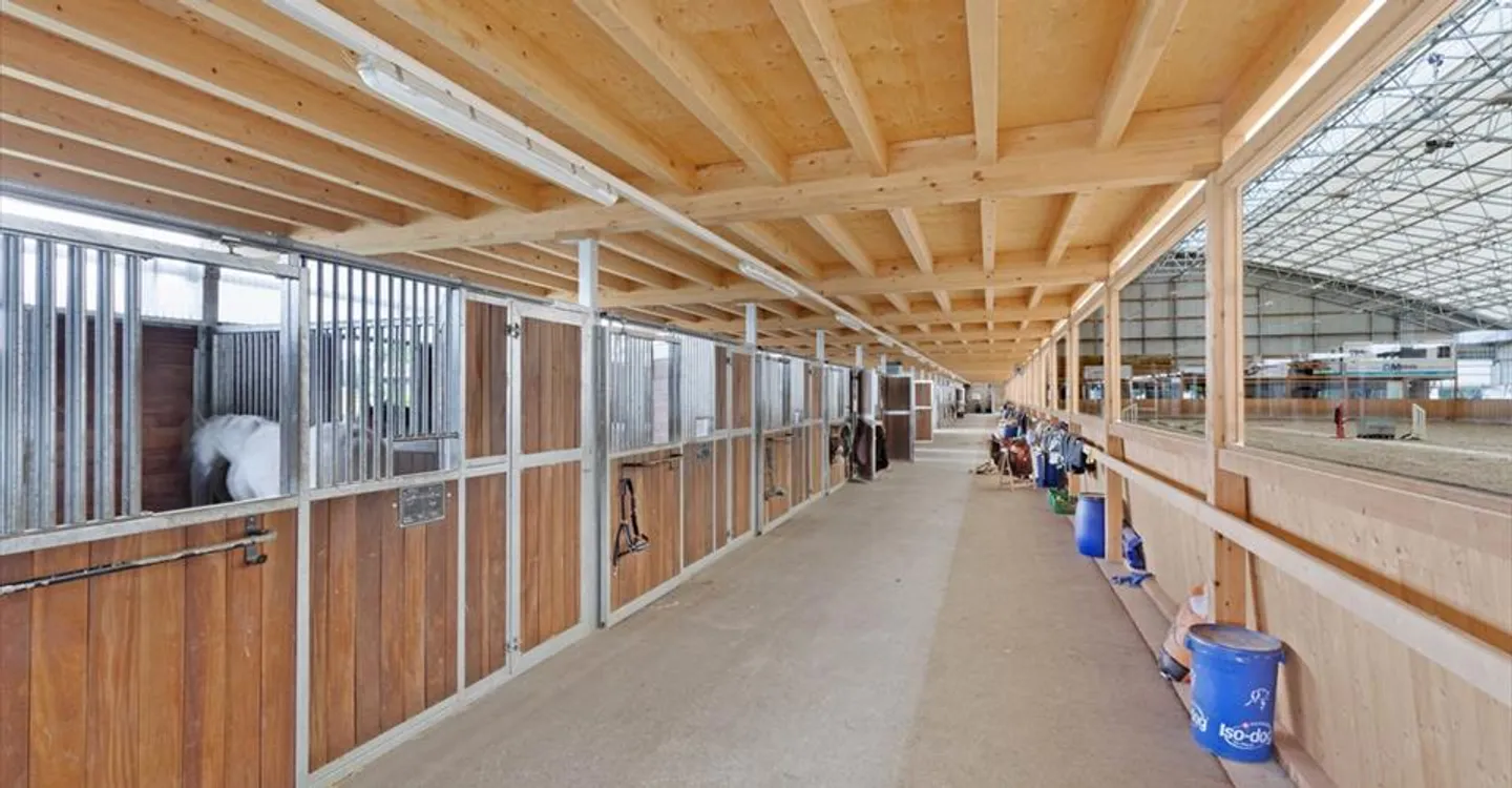 Centro Equestre a Yverdon - Foto 5 di 8