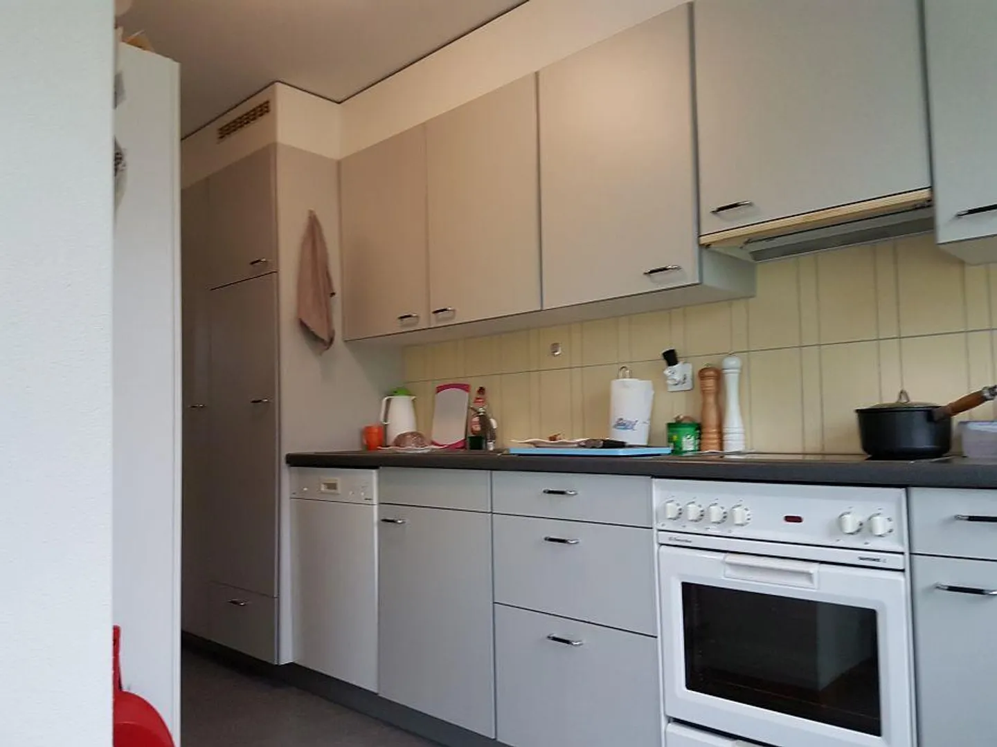 Appartamento 3 1/2 stanze - Foto 10 di 12