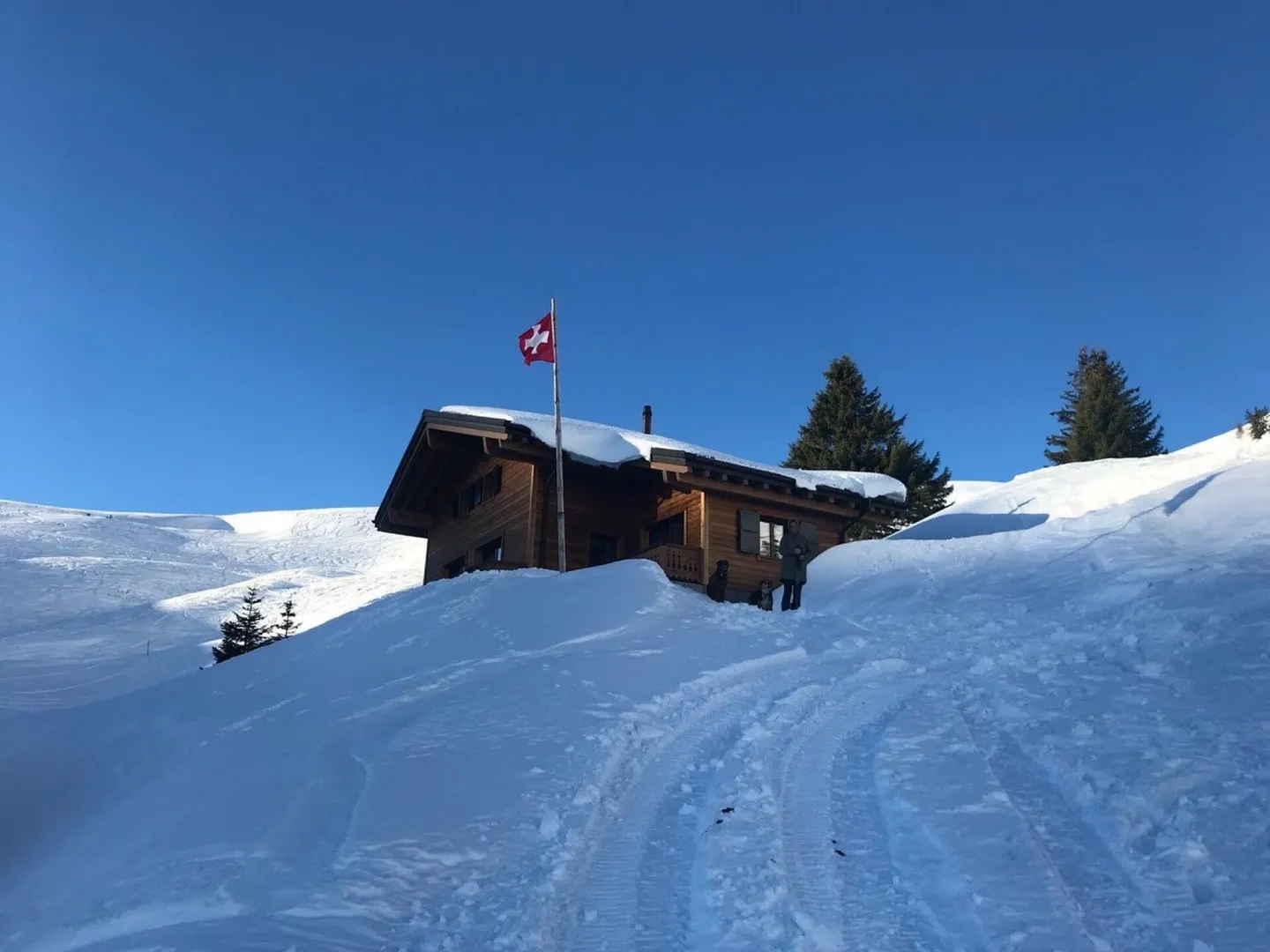 Chalet ski-in ski-out confortevole in mezzo alle piste nella zona delle Portes du Soleil - Foto 2 di 17