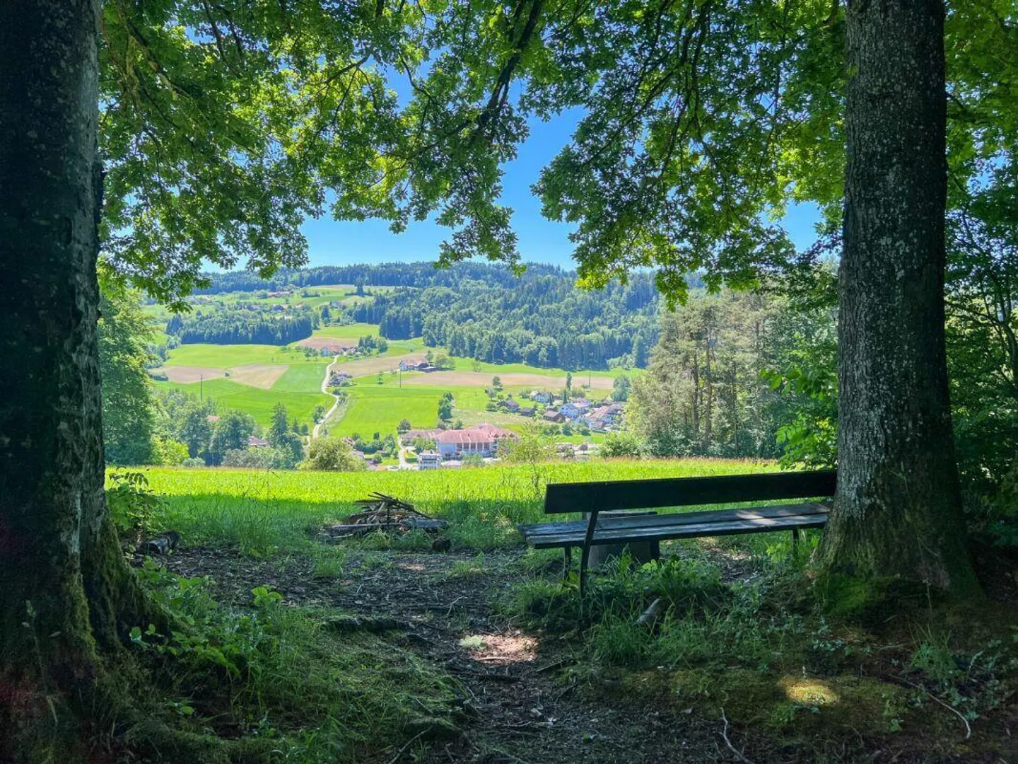 Ruedertalblick - Zuhause ankommen, Natur und Geborgenheit erleben - Foto 6 von 6