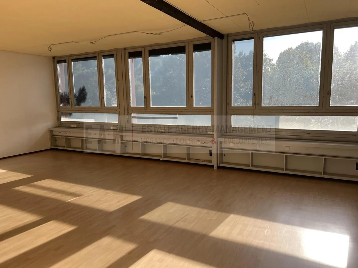 Dance Studio and Music Room in Teufenthal AG - Photo 2 of 10