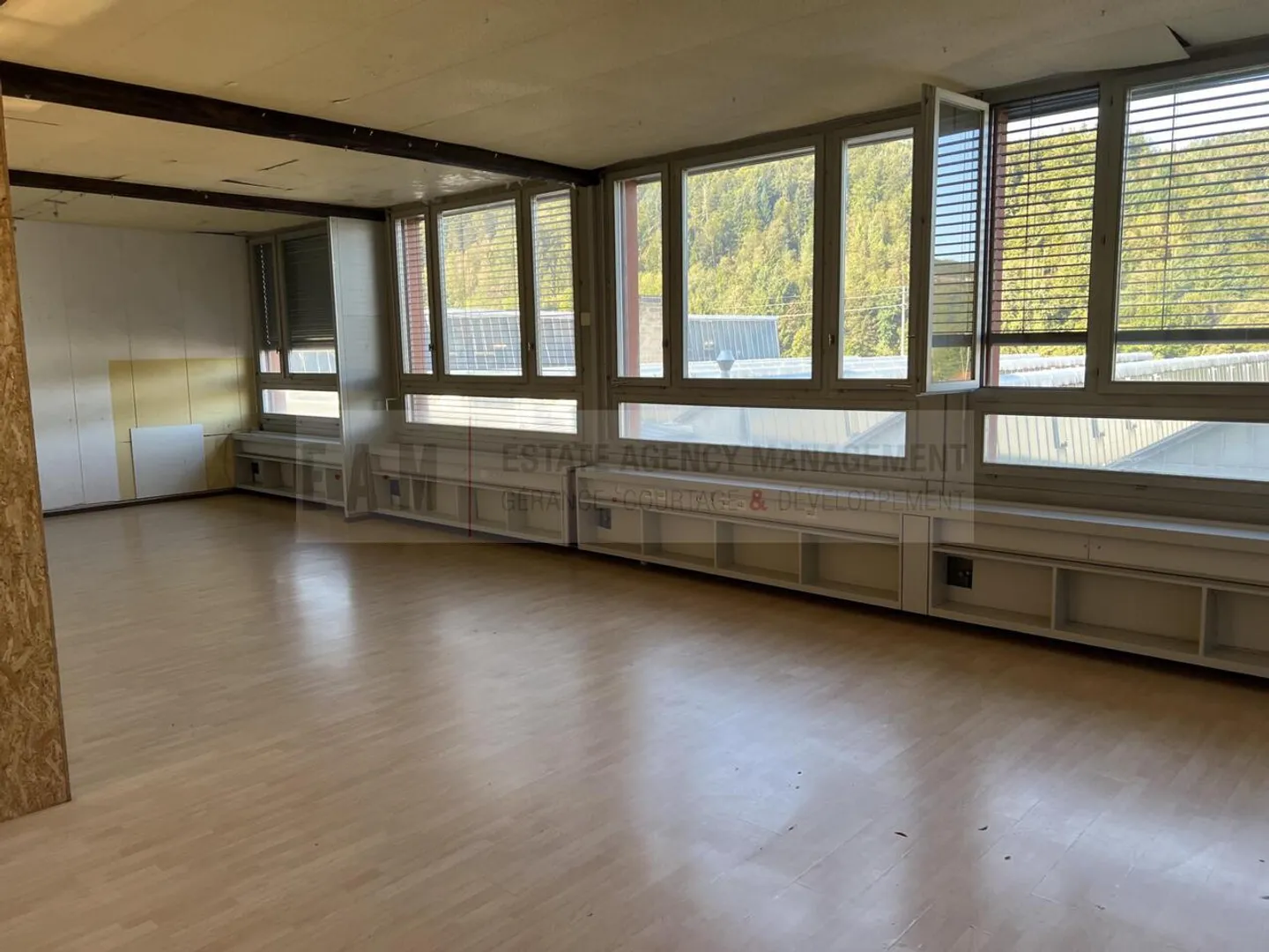 Dance Studio and Music Room in Teufenthal AG - Photo 3 of 10