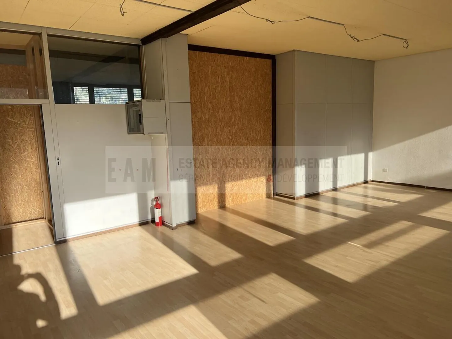 Dance Studio and Music Room in Teufenthal AG - Photo 4 of 10