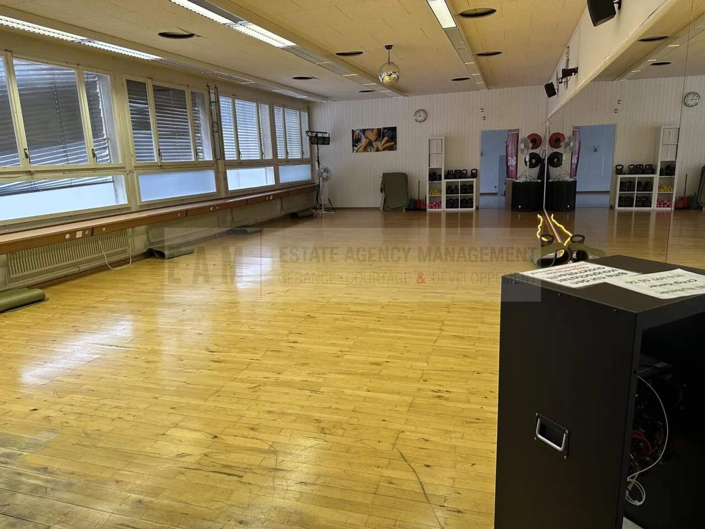 Dance Studio and Music Room in Teufenthal AG - Photo 7 of 10