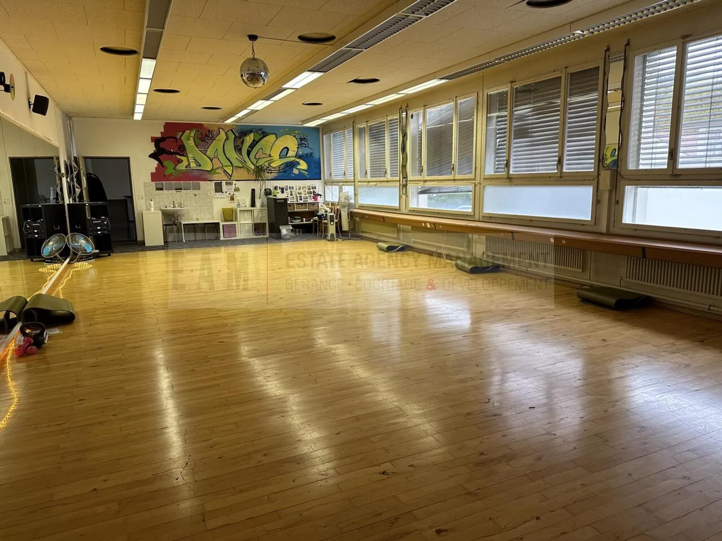 Dance Studio and Music Room in Teufenthal AG - Photo 8 of 10