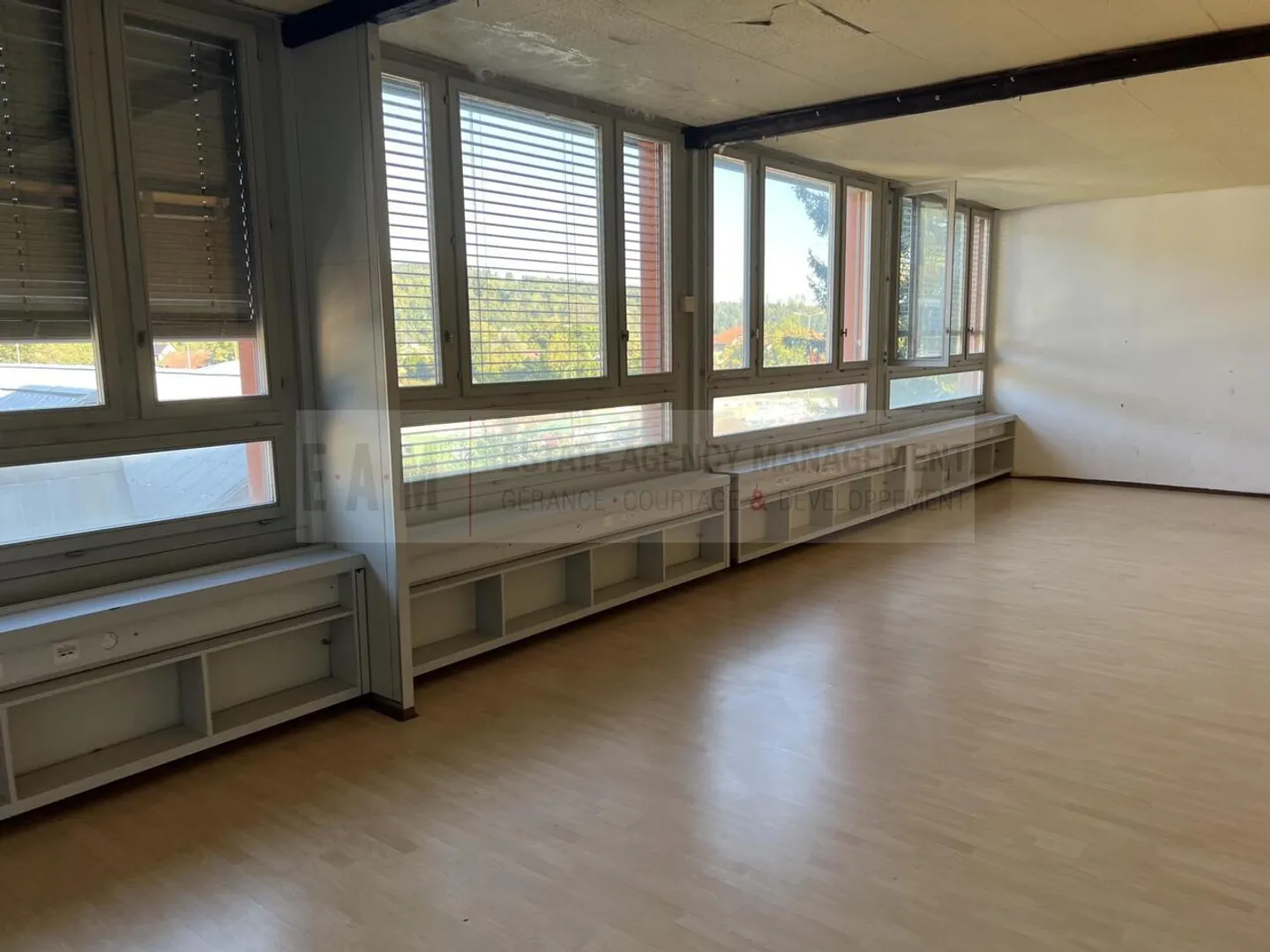 Dance Studio and Music Room in Teufenthal AG - Photo 5 of 10