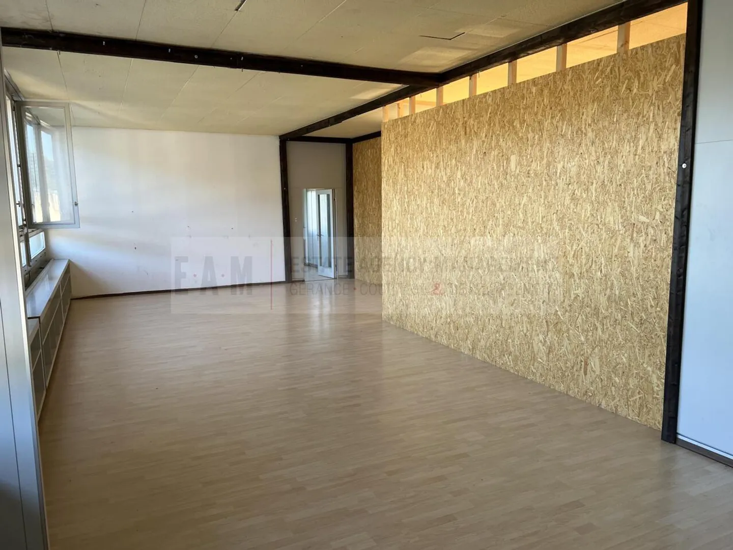 Dance Studio and Music Room in Teufenthal AG - Photo 6 of 10