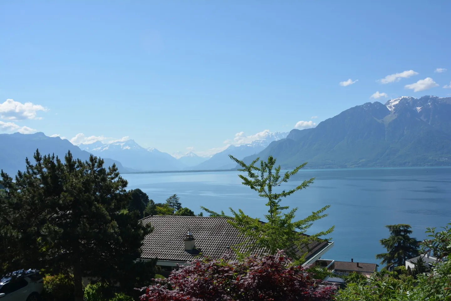 Near Vevey, new project of 3 villas with 5.5 rooms - Panoramic view - Photo 4 of 13
