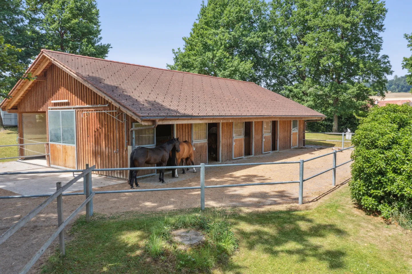 Splendida fattoria equestre con ampio giardino e piscina - Foto 16 di 16