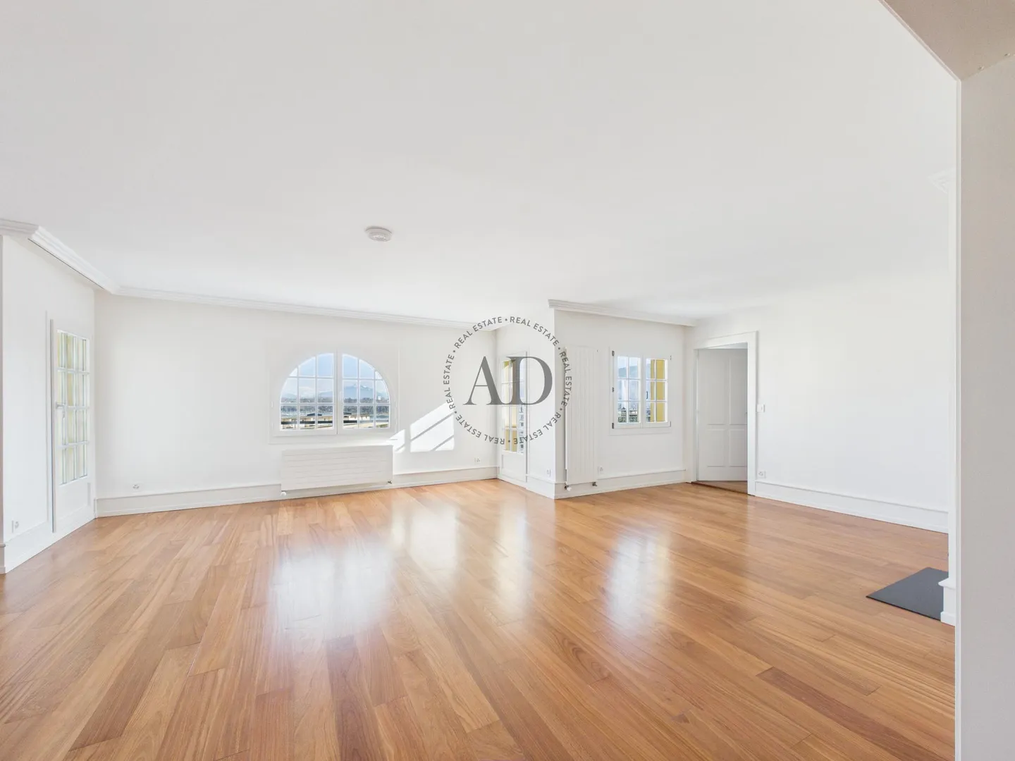 Penthouse with a view of the lake, the fountain, and Mont Blanc - Photo 2 of 8