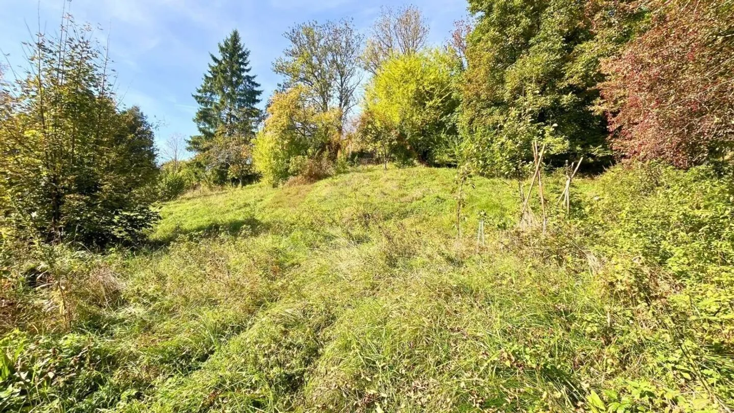 «Terrain à vendre à Sonvilier (BE) - 1'200 m² constructibles» - Photo 6 sur 7