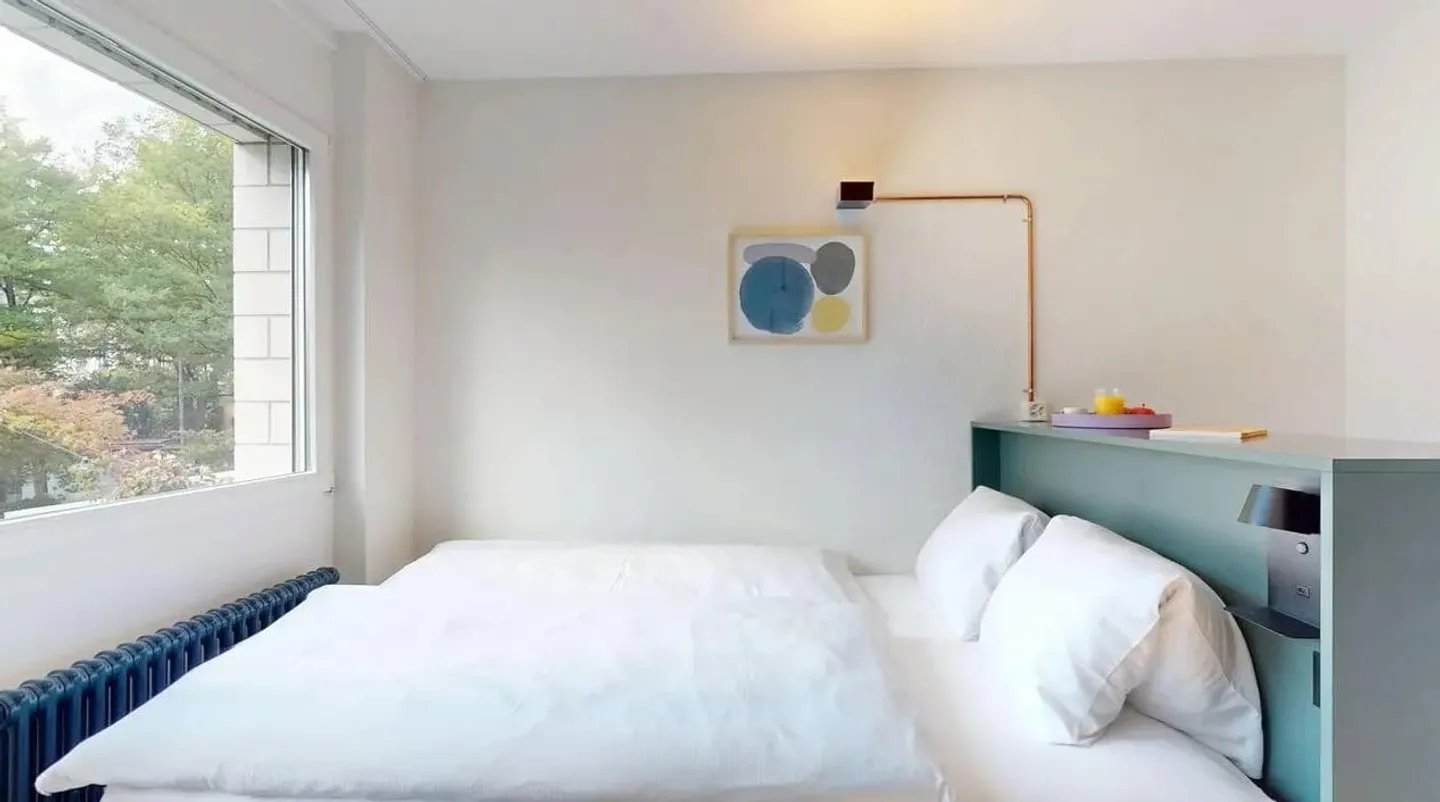 Deluxe Studio furnished - Photo 1 of 4