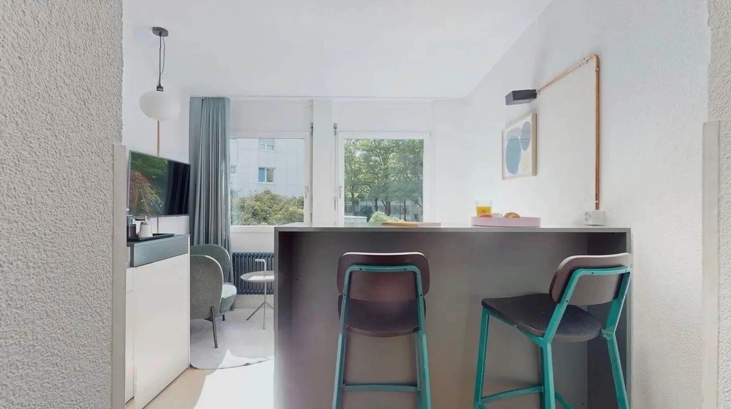 Deluxe Studio furnished - Photo 2 of 4