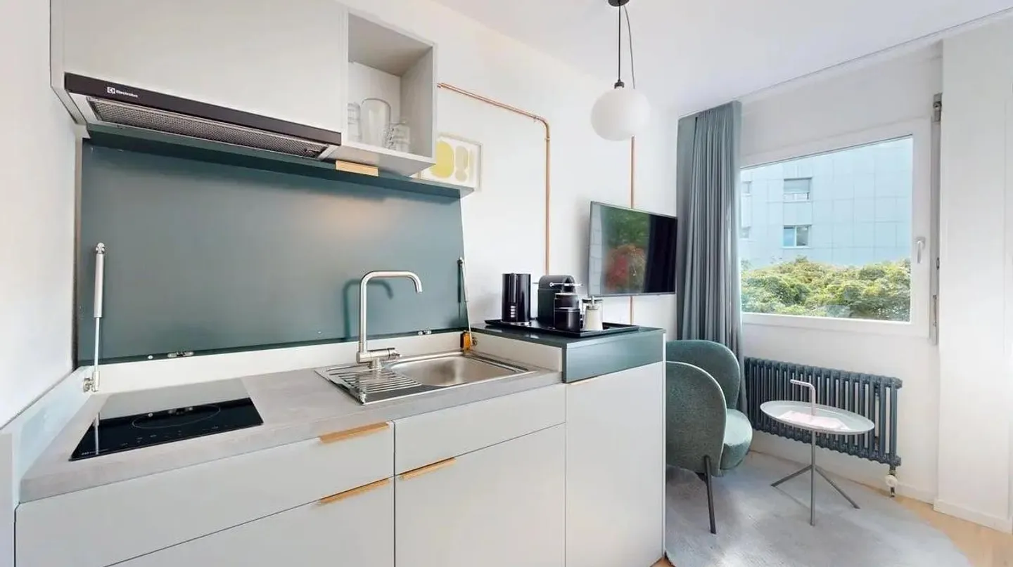 Deluxe Studio furnished - Photo 3 of 4