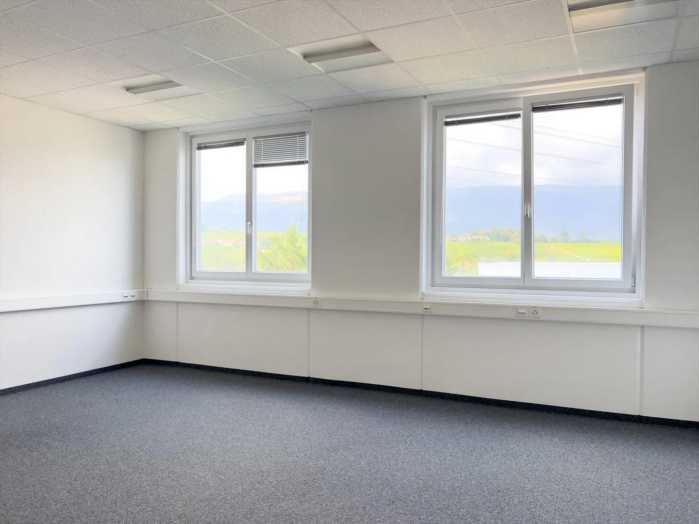 Uffici, Spazi Amministrativi di 373 m2 in Affitto a Satigny - Foto 2 di 6