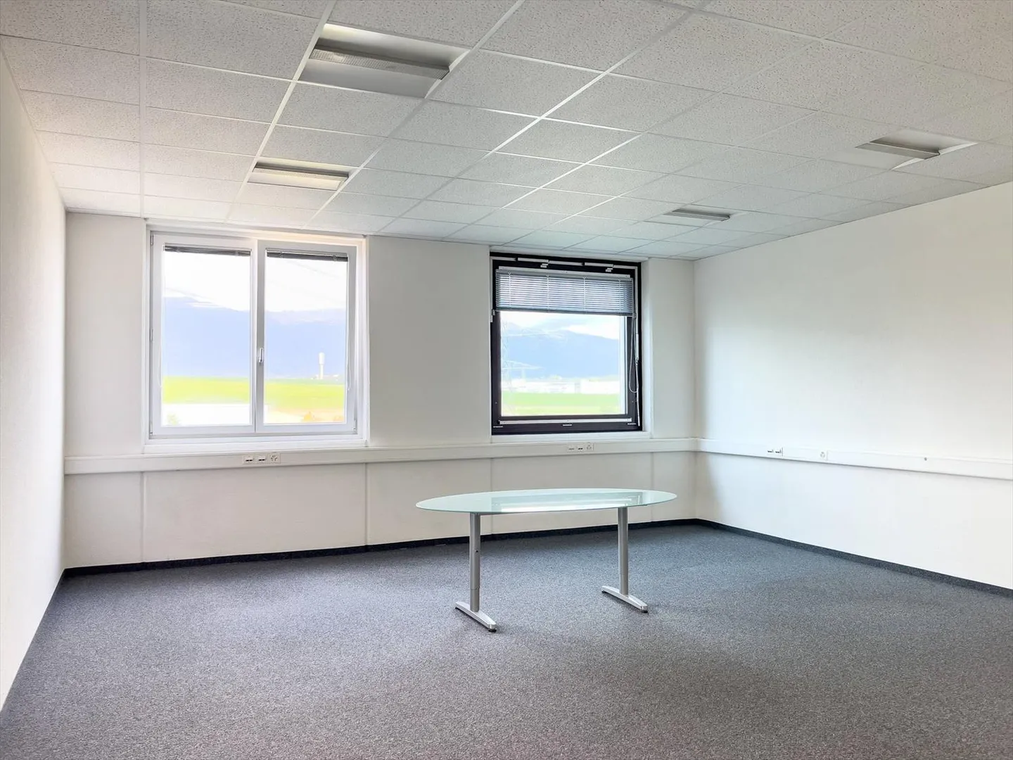 Uffici, Spazi Amministrativi di 373 m2 in Affitto a Satigny - Foto 6 di 6