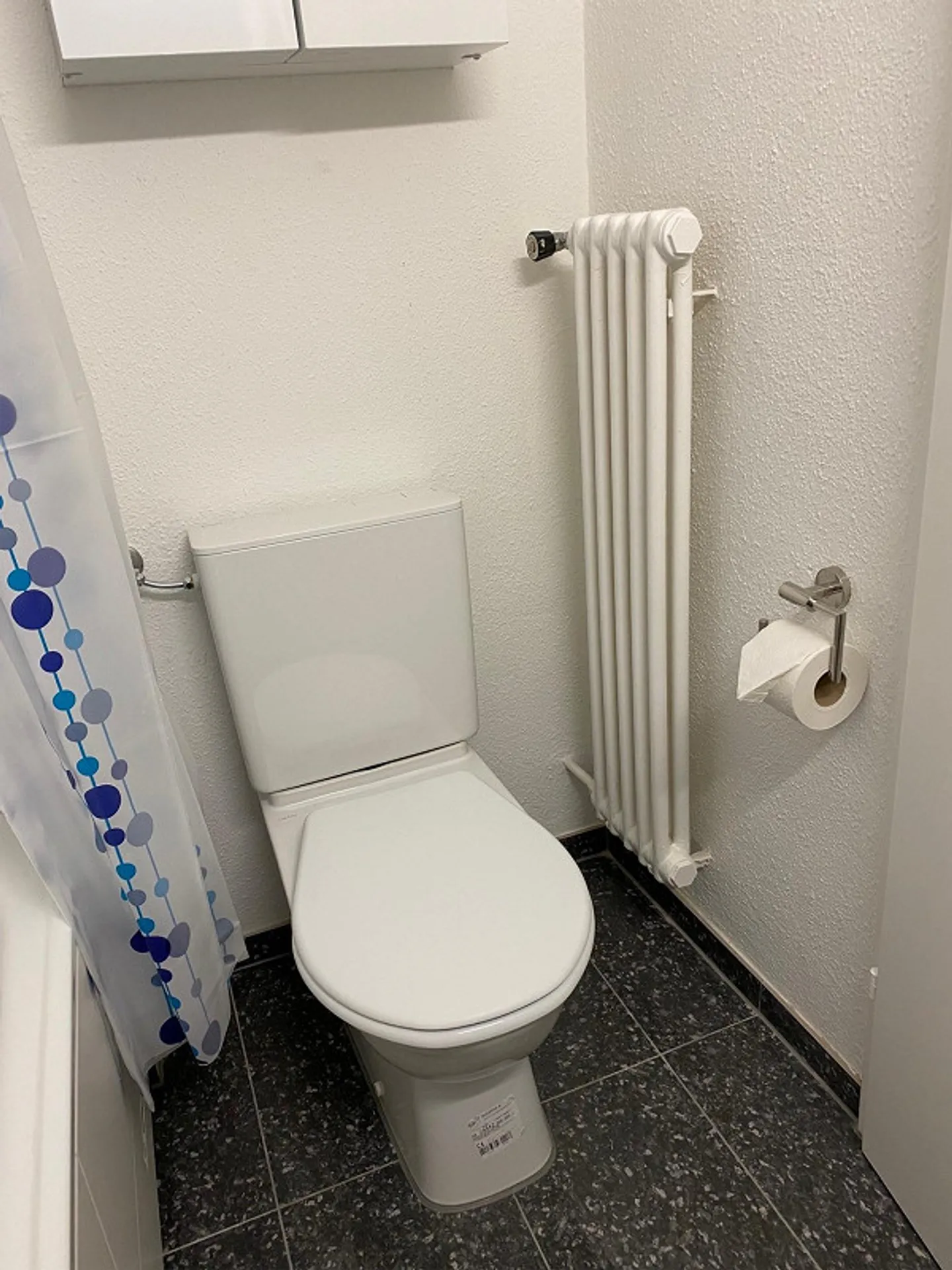 2-Zi-Wohnung ab 1. Dezember 2025 oder nach Vereinbarung - Foto 17 von 19