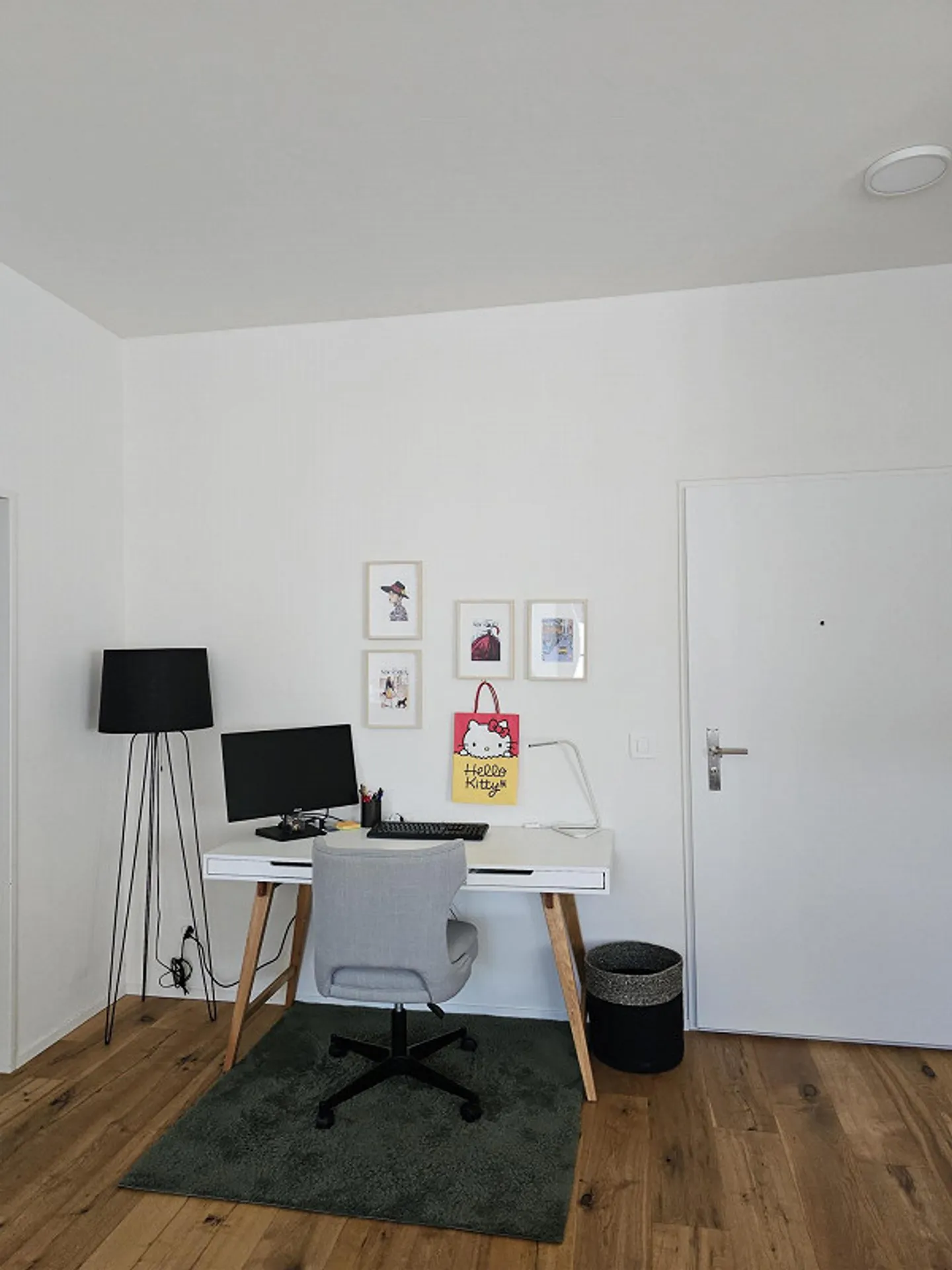 Bellissimo appartamento arredato di 2,5 stanze nel cuore di Zurzach - Foto 4 di 9