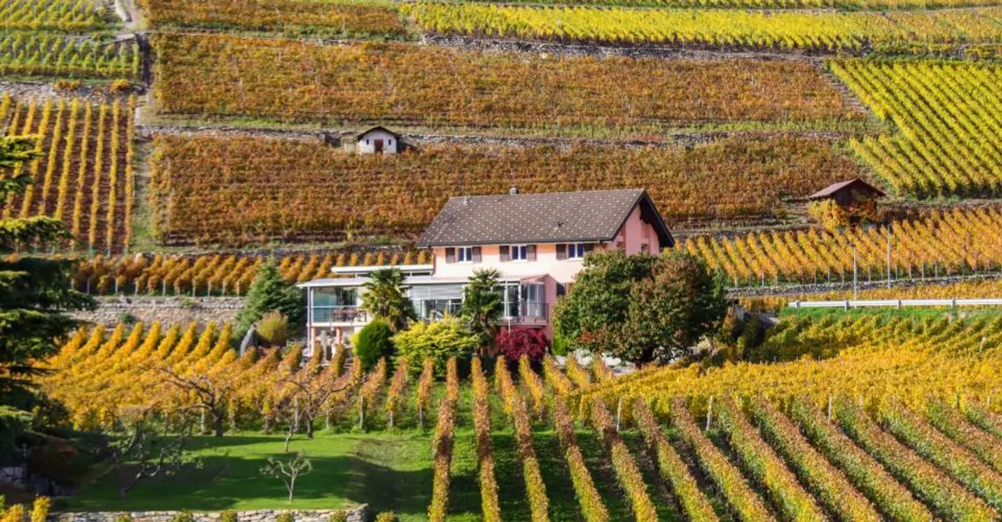 Villa indipendente con vigne adiacenti a St-Séverin – Conthey - Foto 2 di 6