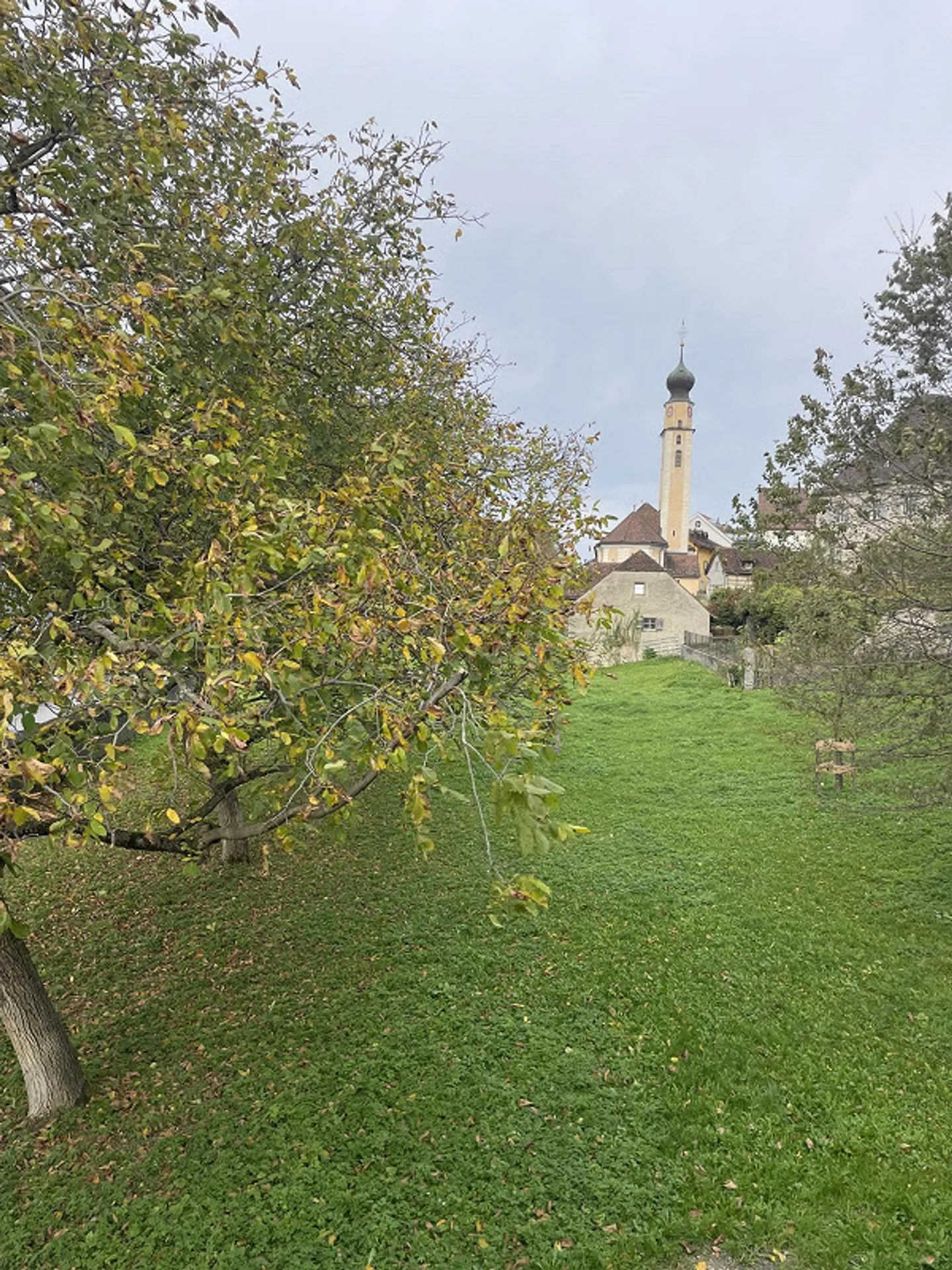 Ampio appartamento di 4,5 stanze in affitto - Foto 11 di 13
