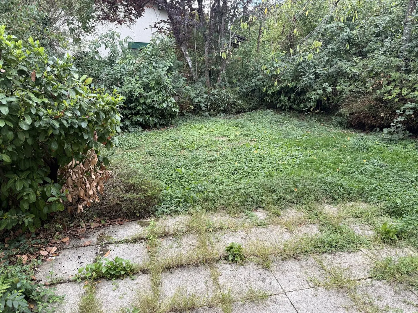 Vivre avec caractère - une maison avec de nombreuses possibilités - Photo 15 sur 20