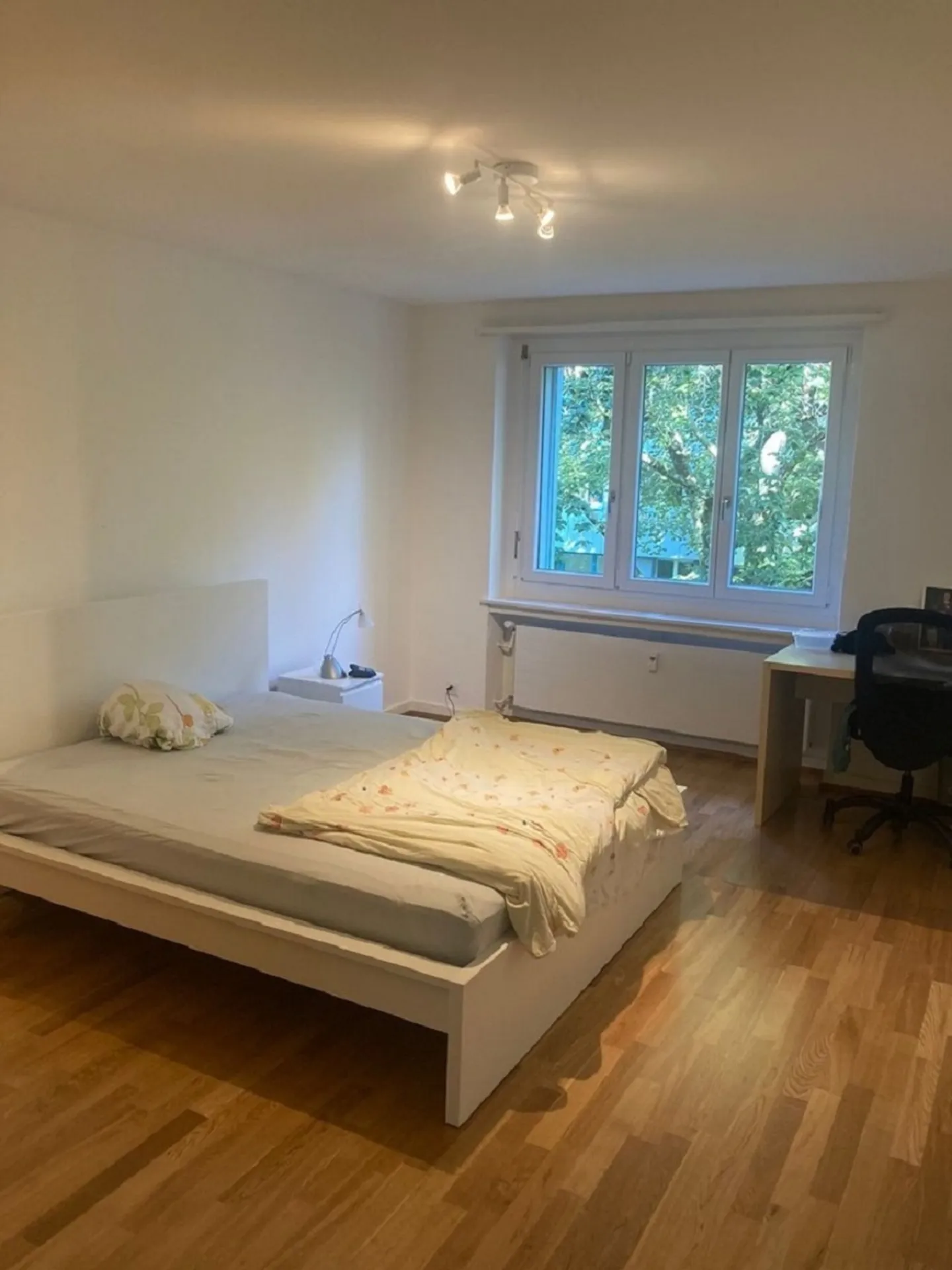 Appartamento in affitto - Foto 2 di 7