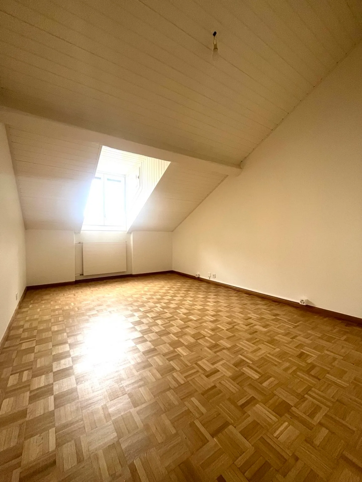 Prächtige Wohnung in Eaux-Vives - Foto 3 von 5
