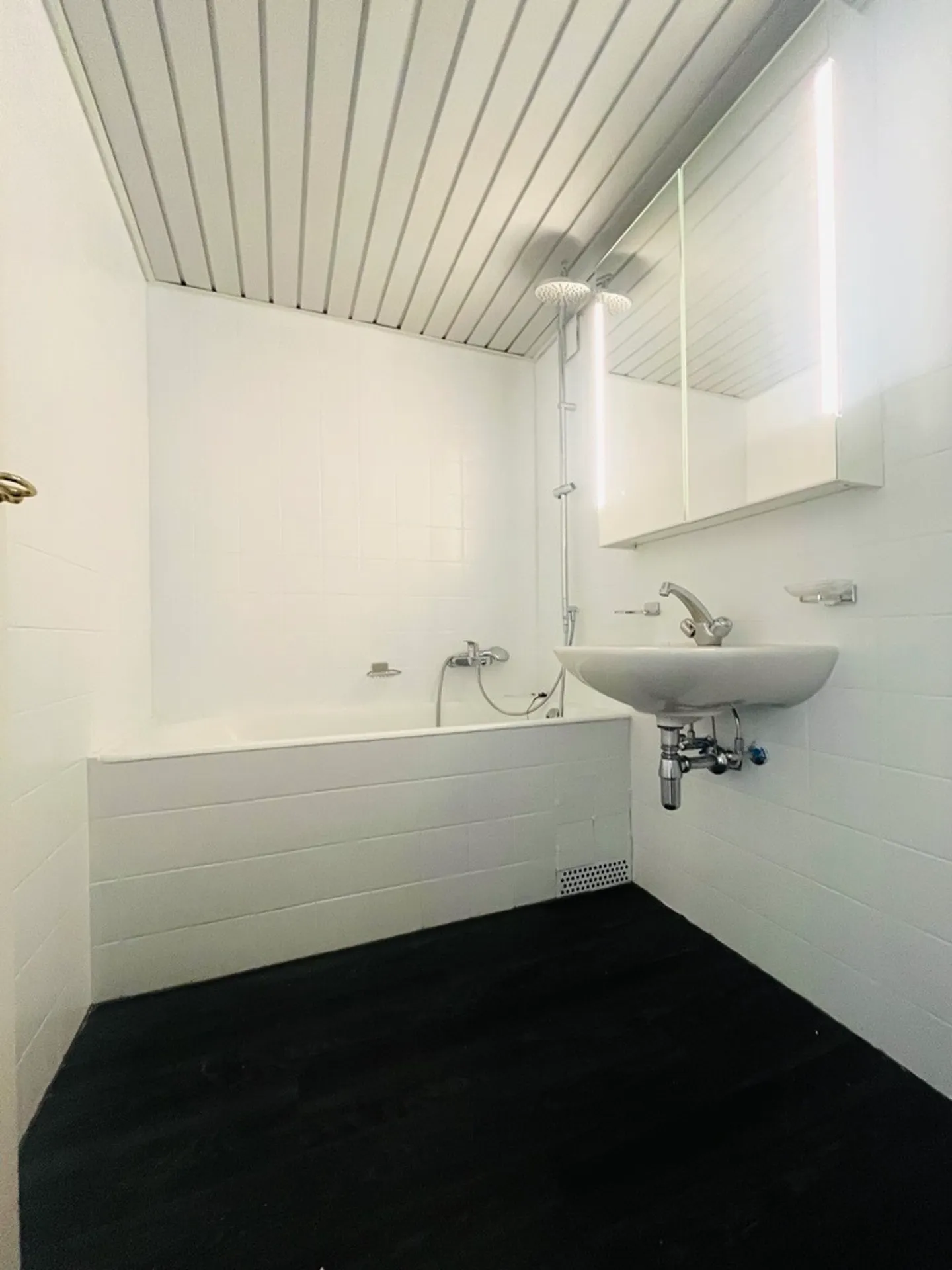 Prächtige Wohnung in Eaux-Vives - Foto 4 von 5
