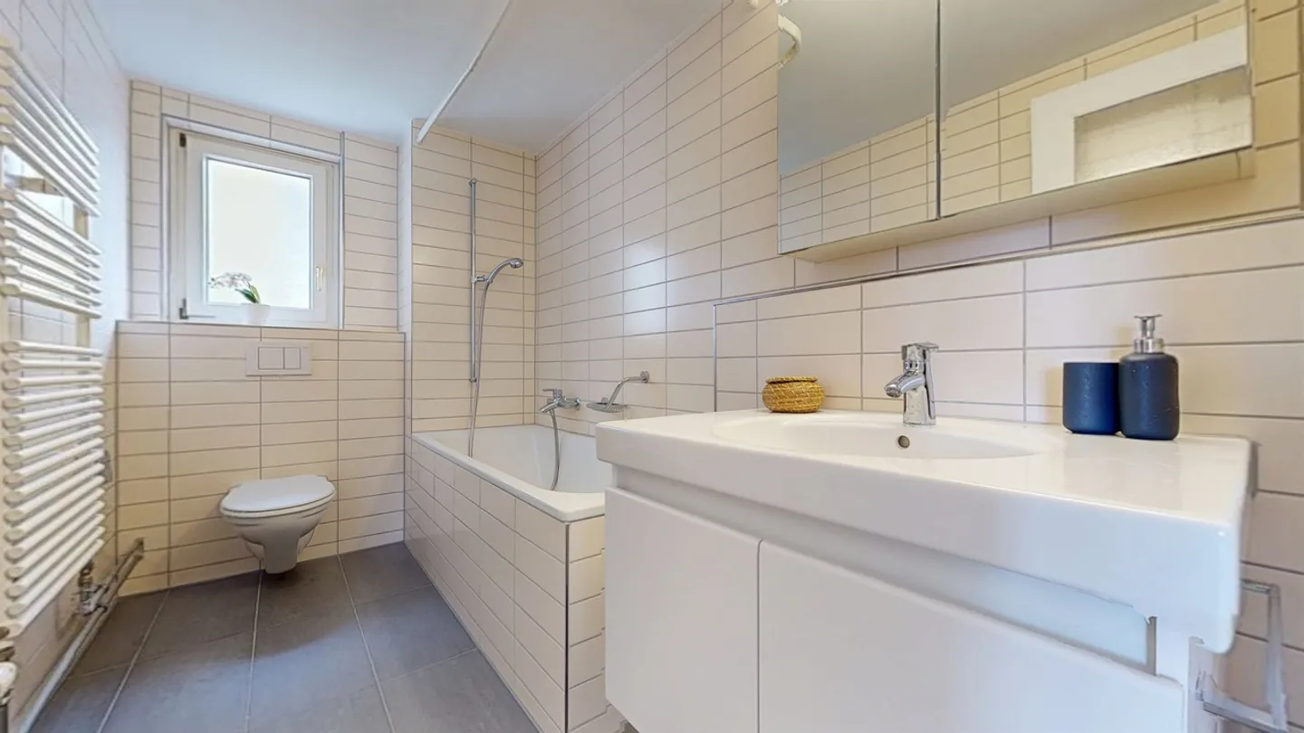Bright Apartment in Grenchen - Photo 10 of 10