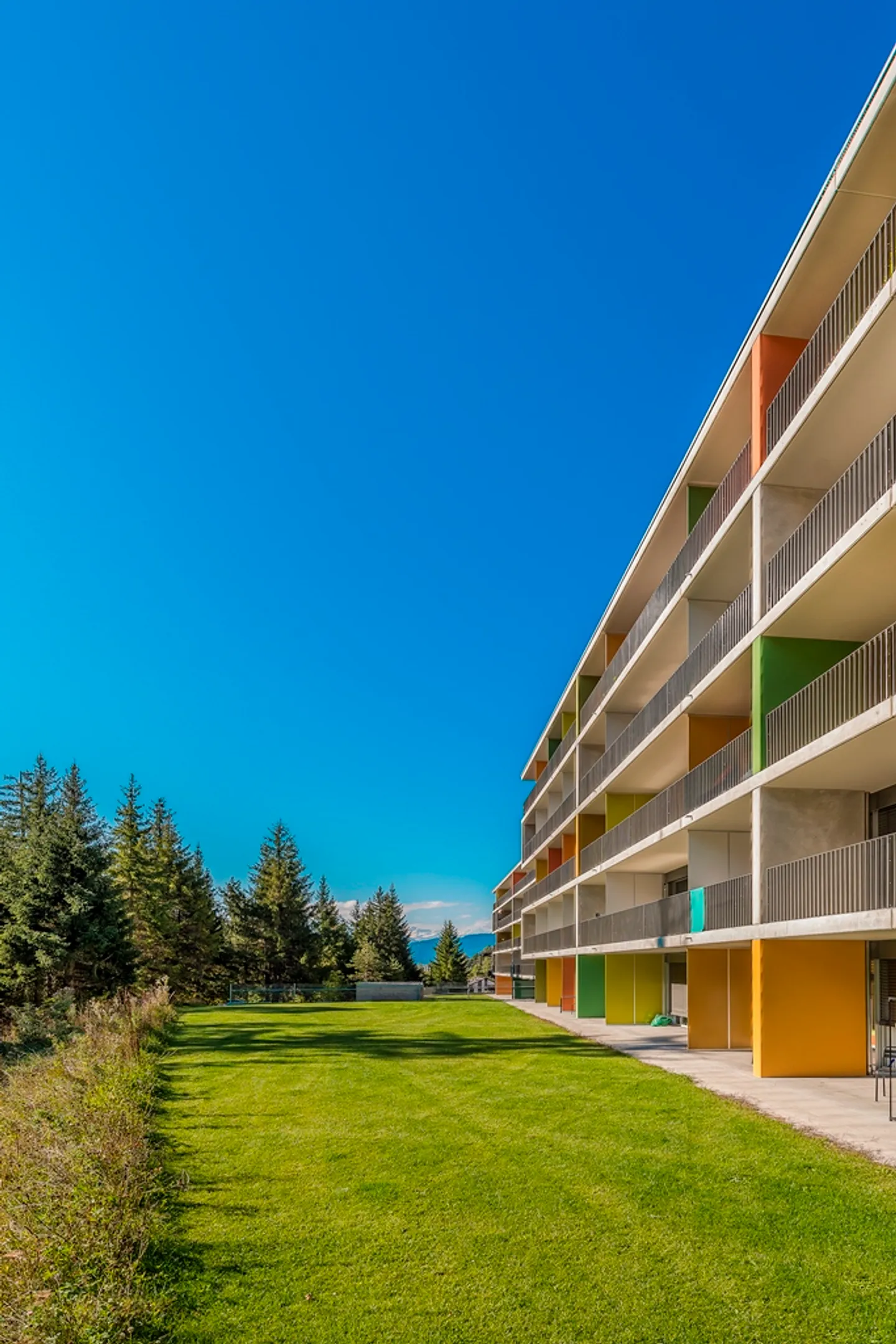 Studio arredato ti aspetta! - Foto 6 di 6