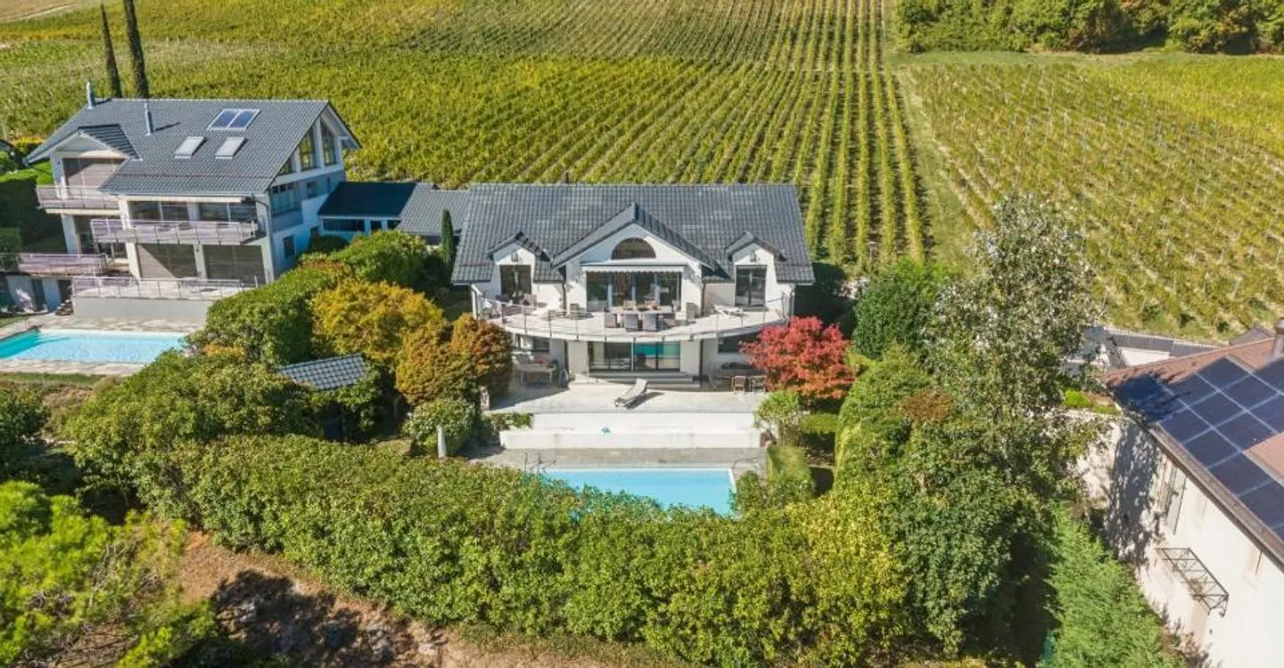 Individual villa between vineyards and lake - Photo 2 of 11